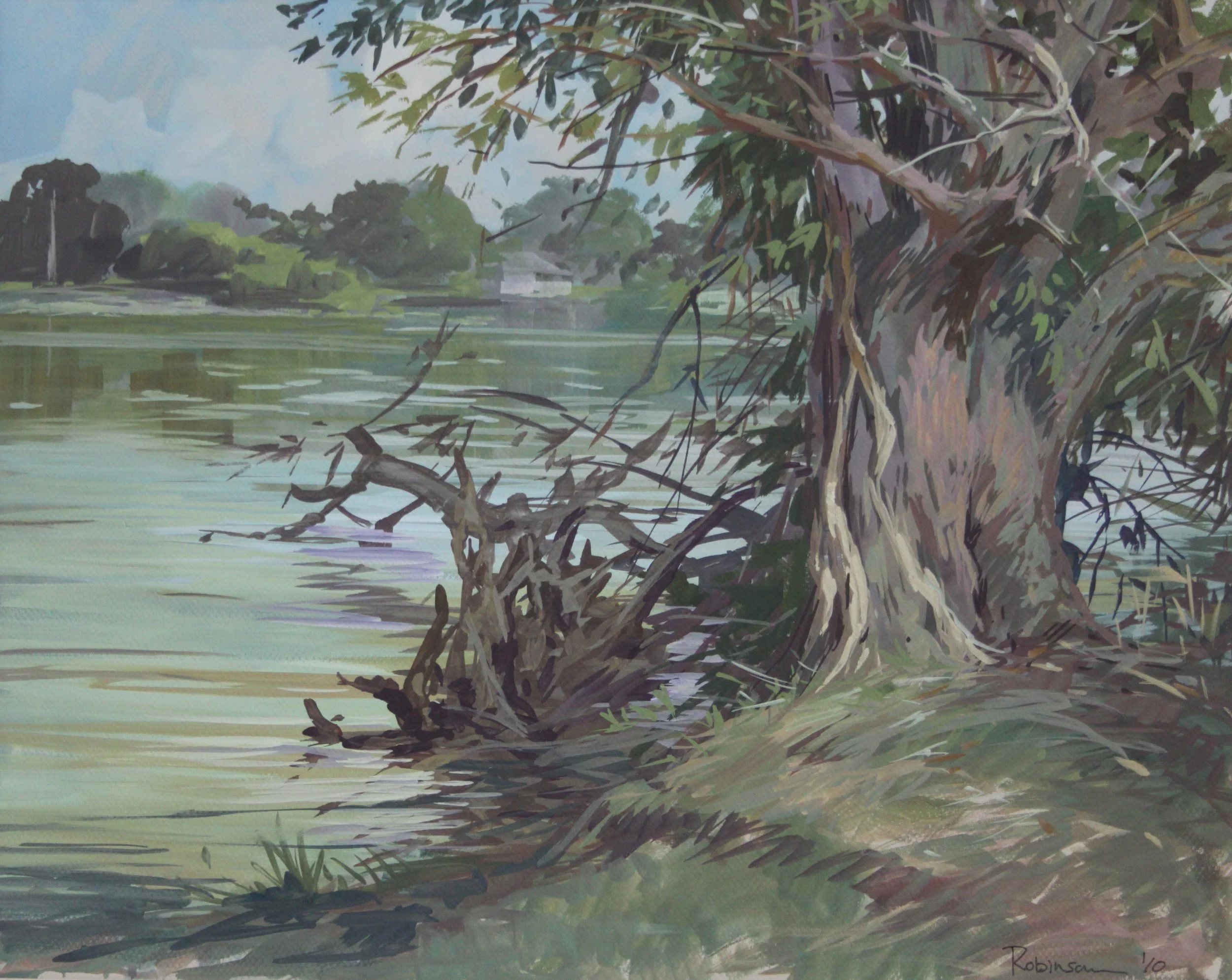2010012 River Willow IMG_3576.JPG