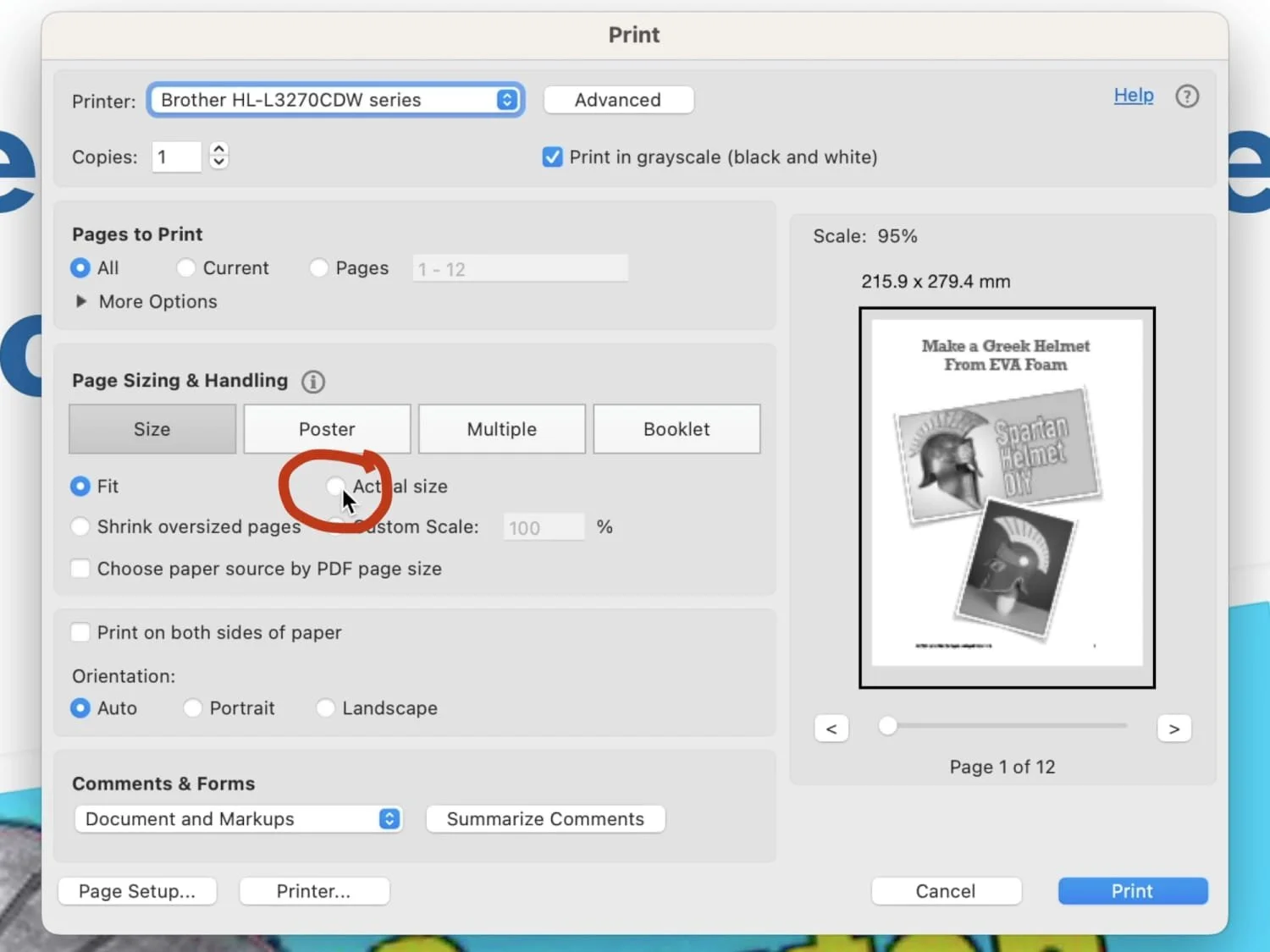 Print dialogue for printing actual size