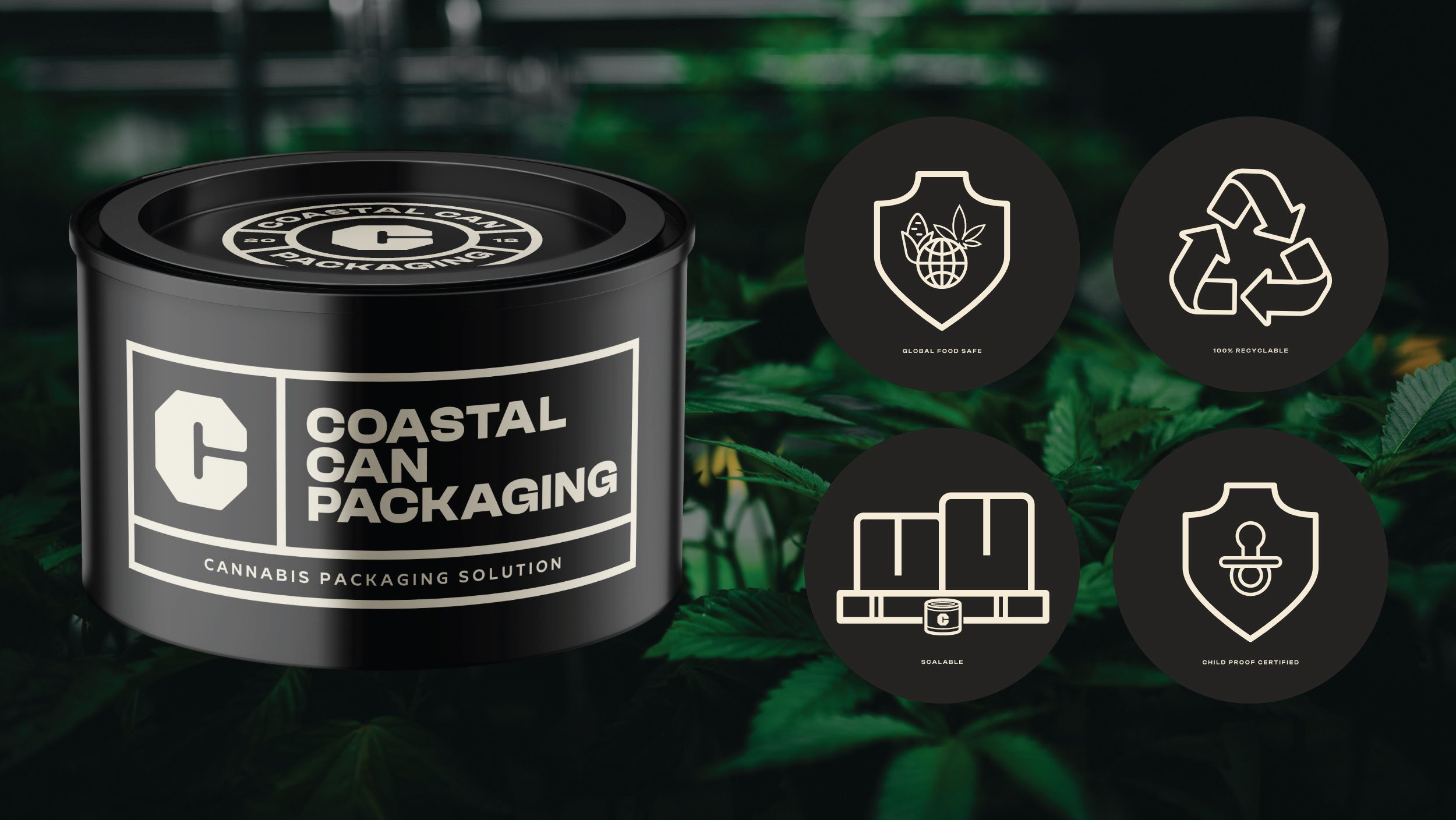 Coastal Cans-16-12.jpg
