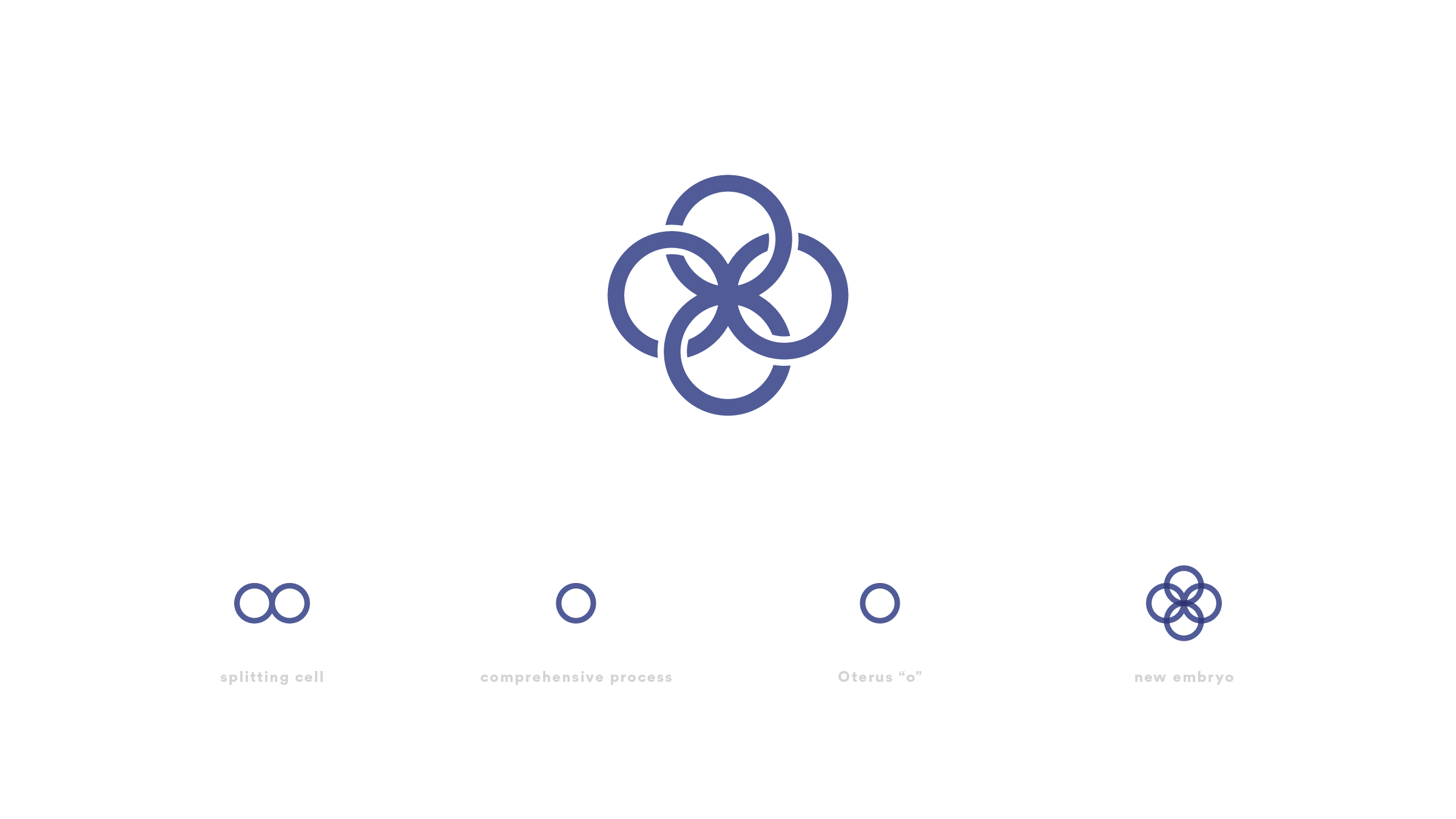 Osterus Brand Identity4.png