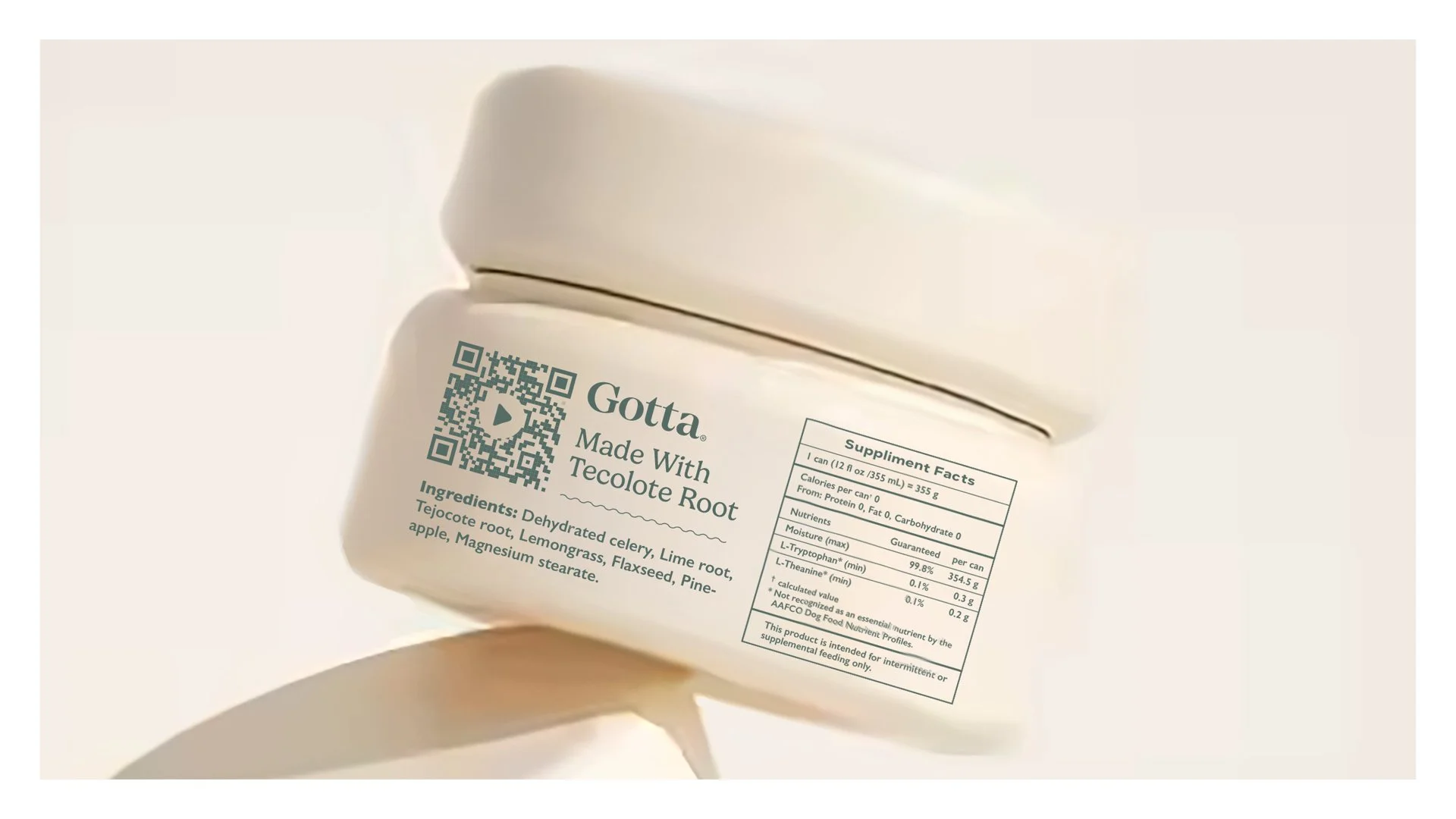 Gotta Slim Case Study11.jpg