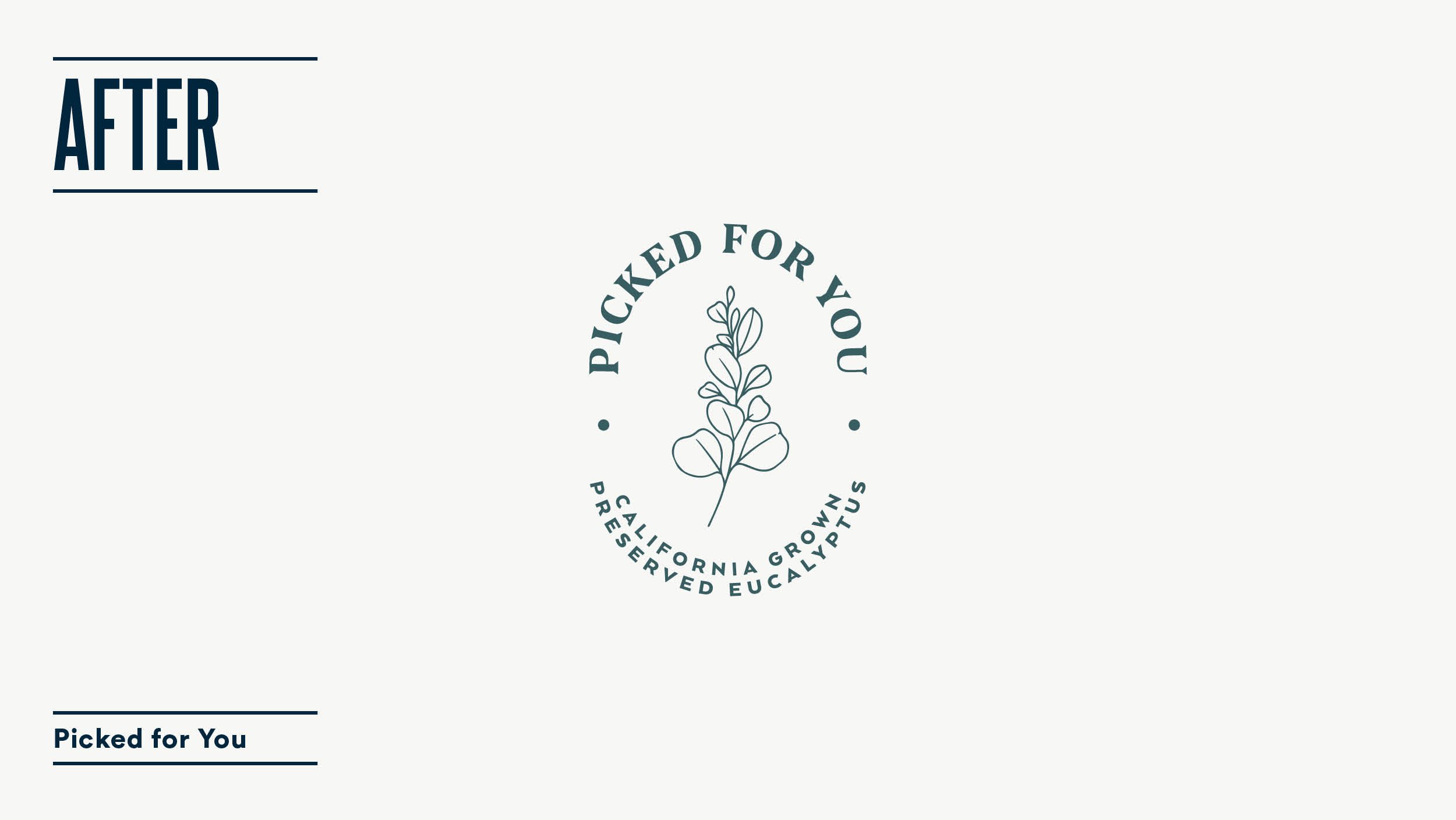 Picked For You_Portfolio3.jpg