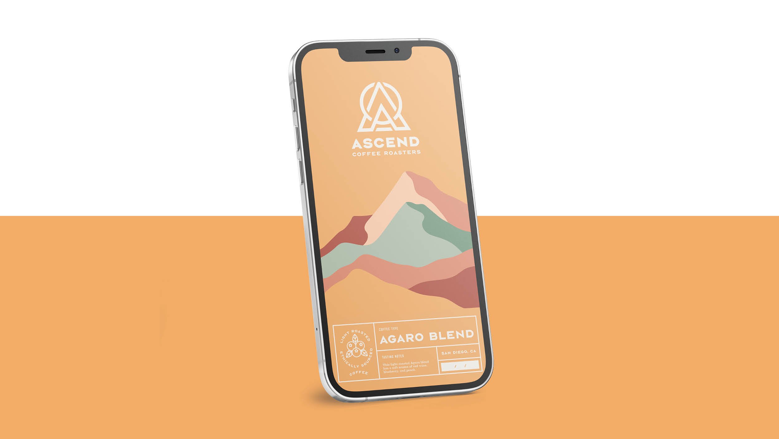 Ascend_Portfolio16.jpg