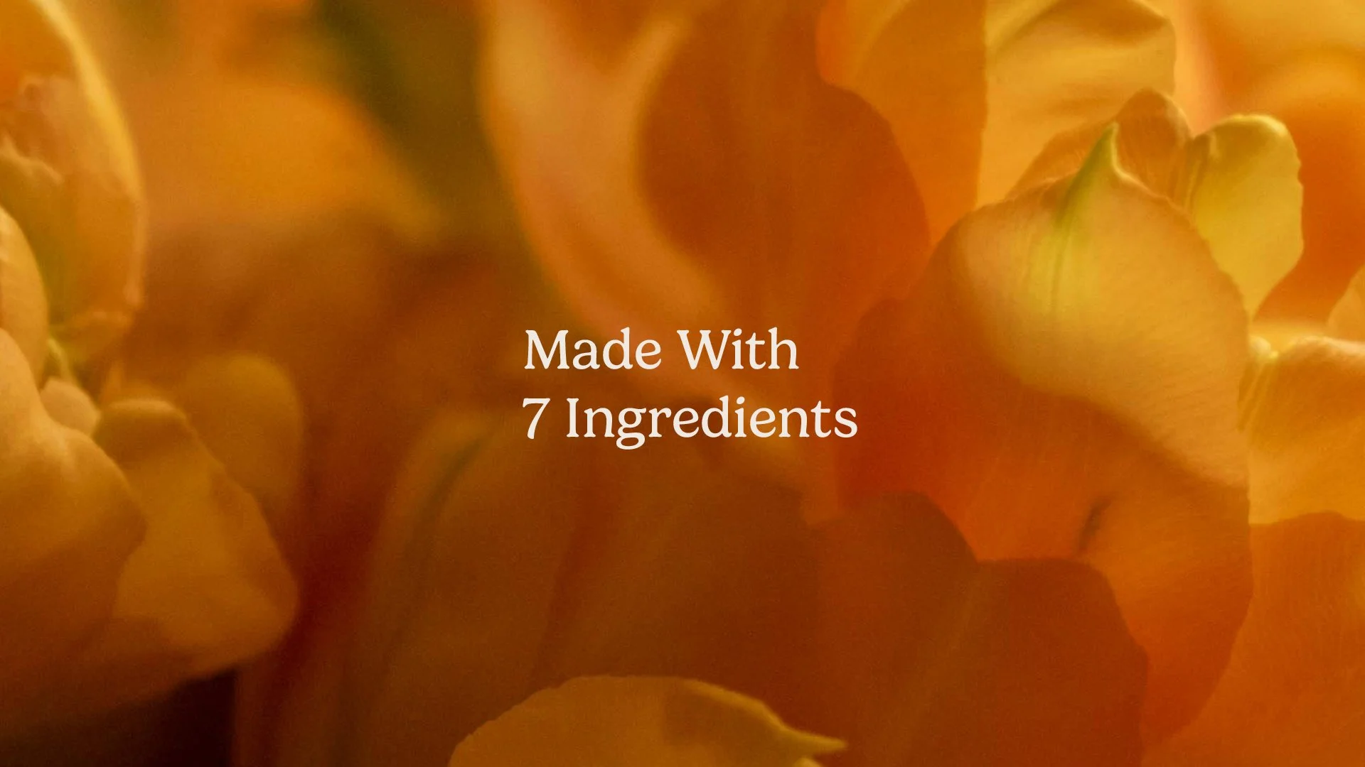 Gotta Slim Case Study9.jpg