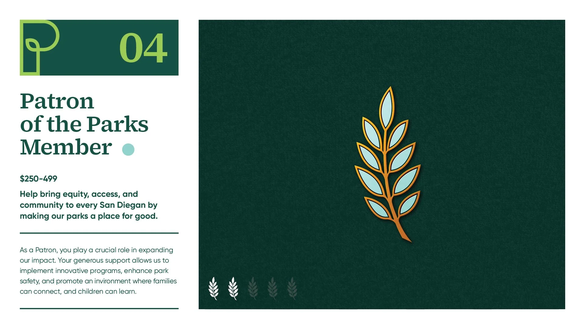 SDPF_Case Study27.jpg