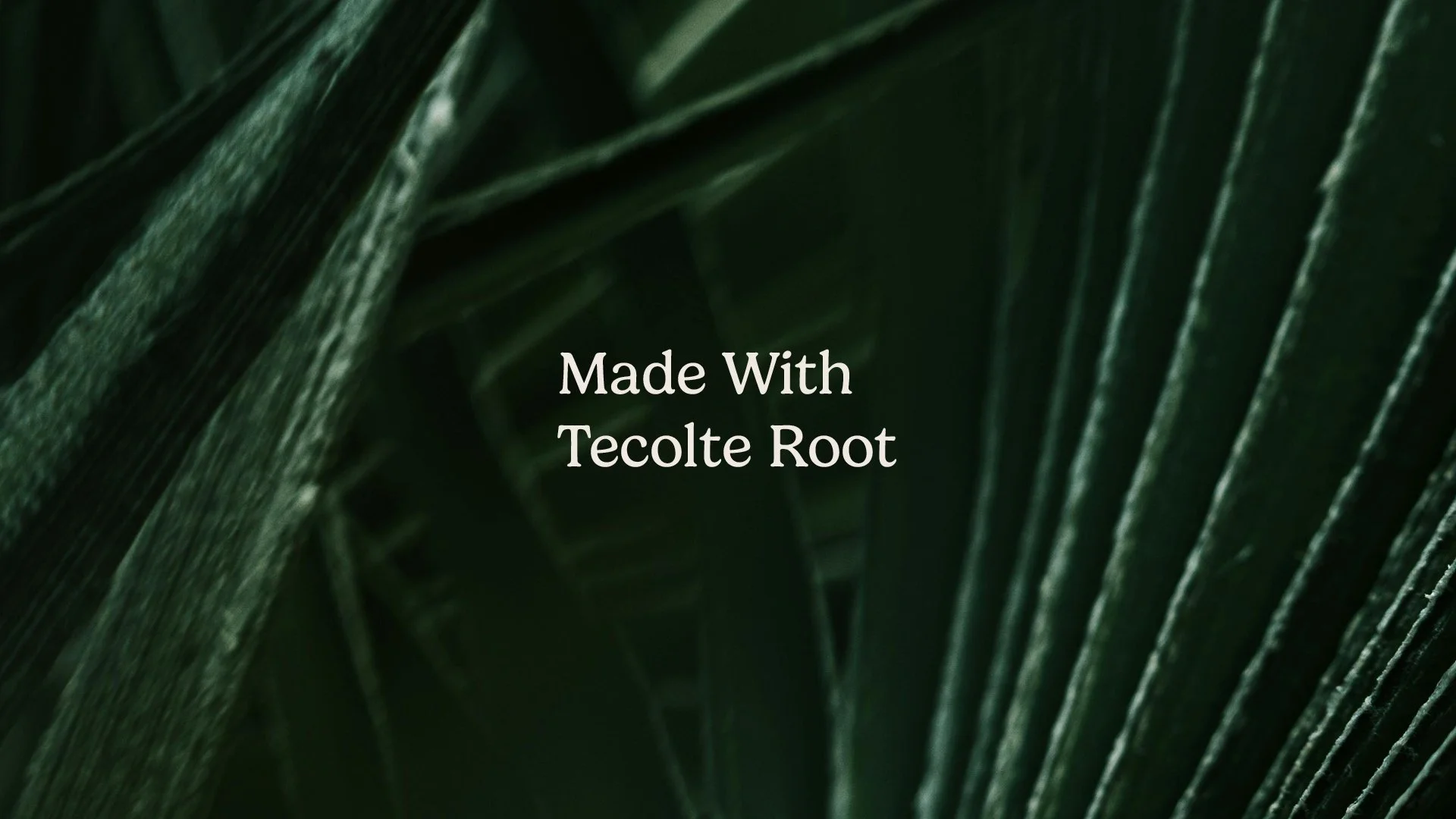 Gotta Slim Case Study7.jpg