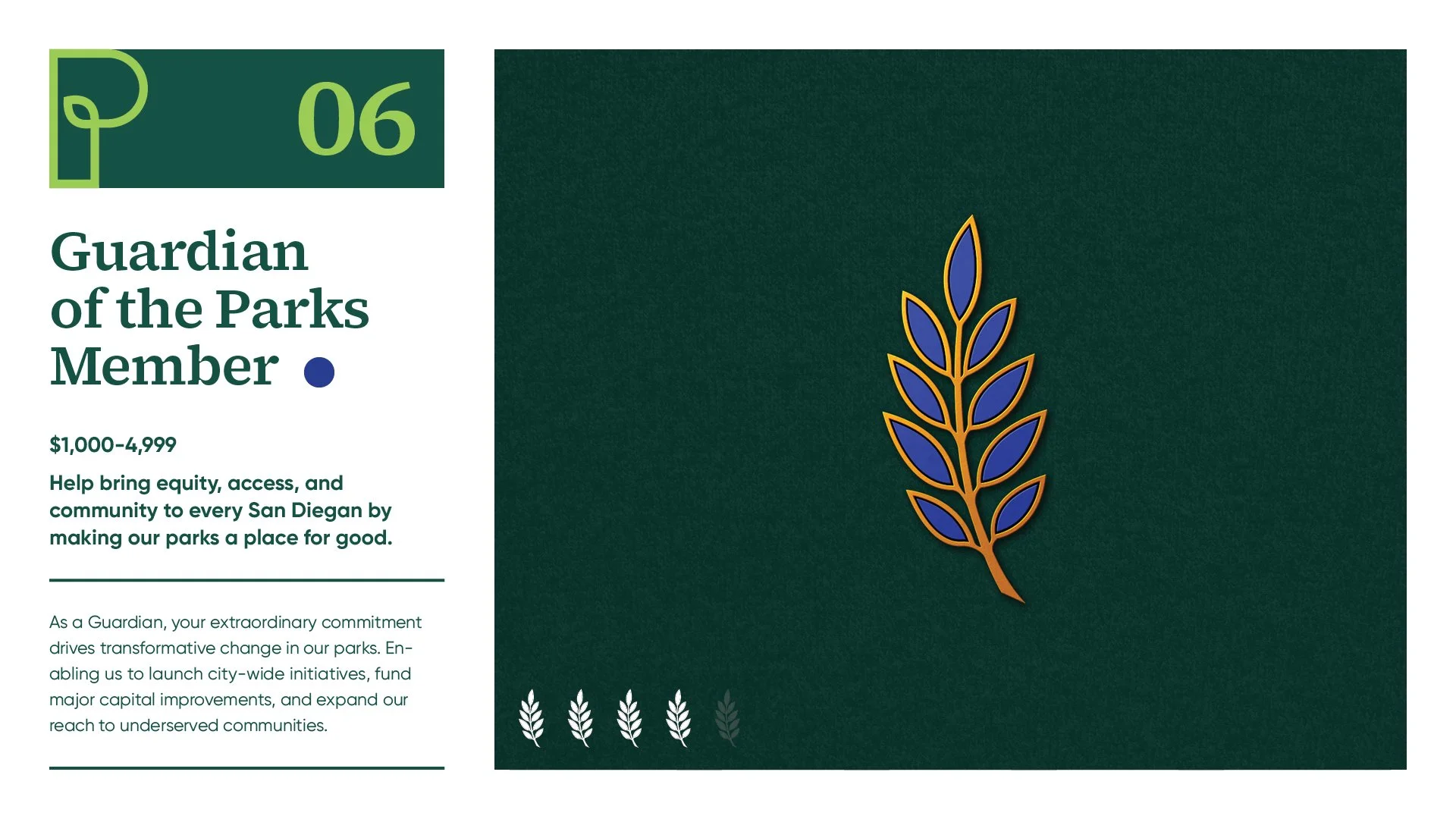 SDPF_Case Study29.jpg