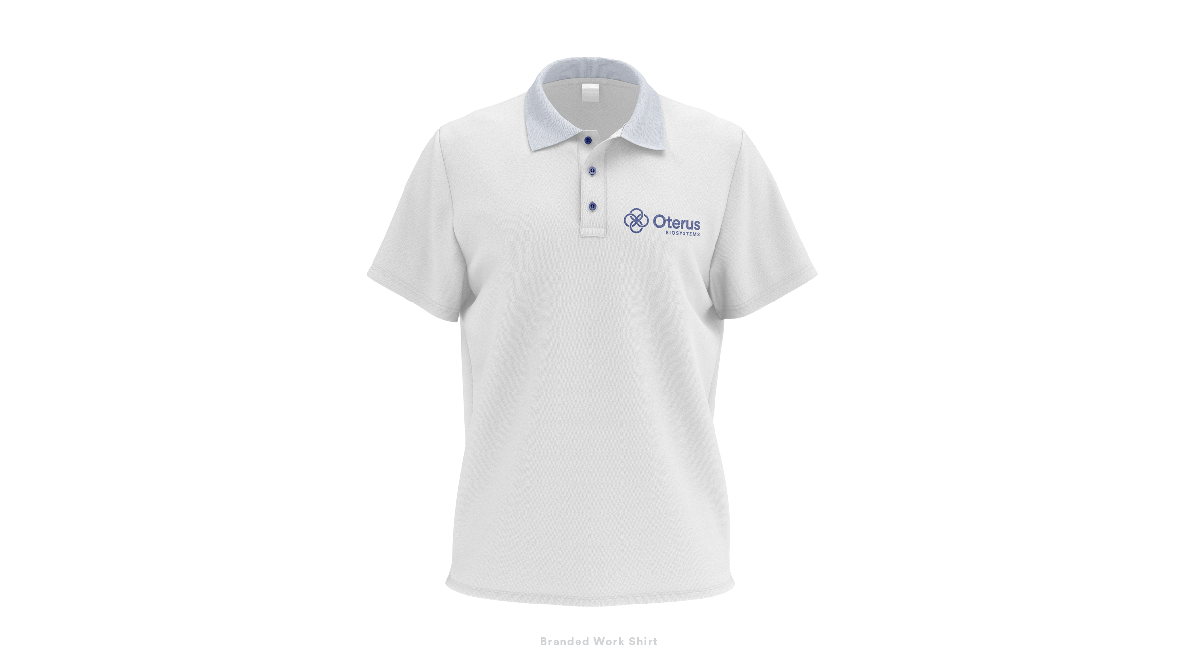Osterus Brand Identity34.png