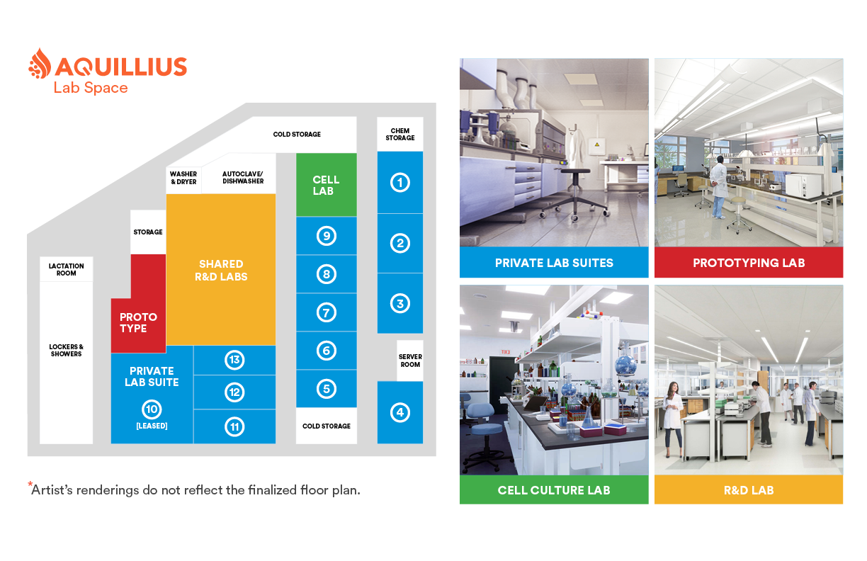 Aquillius Biotech Case Study6.png