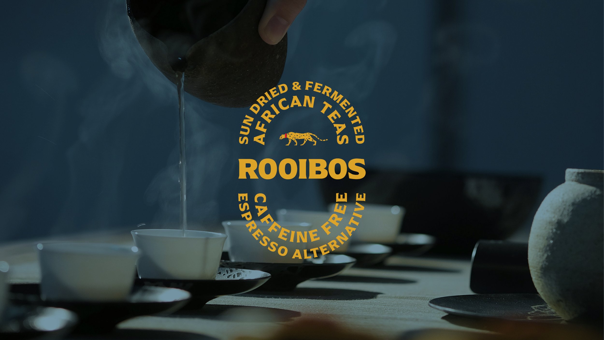 Rooibus Case Study.jpg