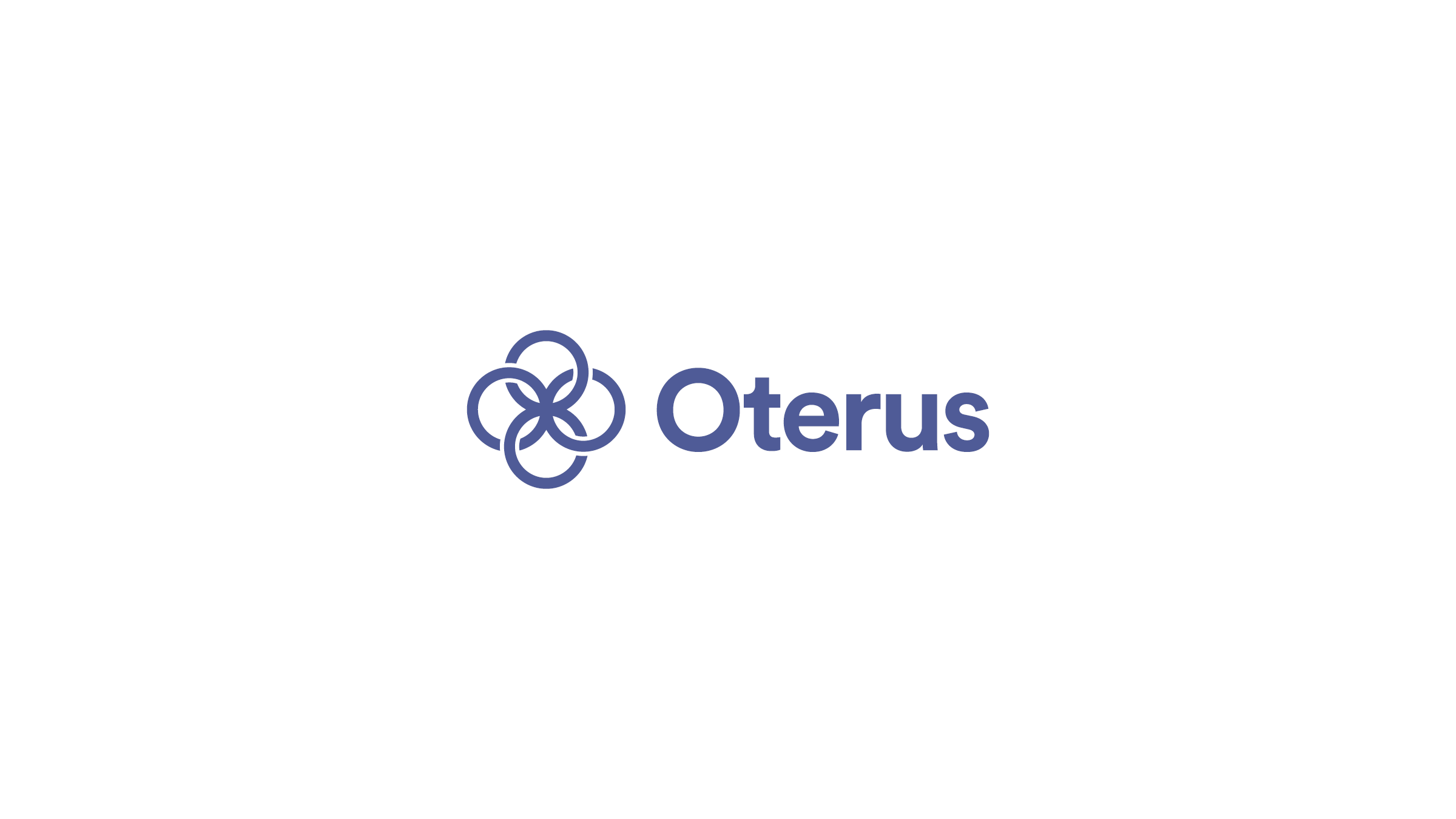 Osterus Brand Identity2.png