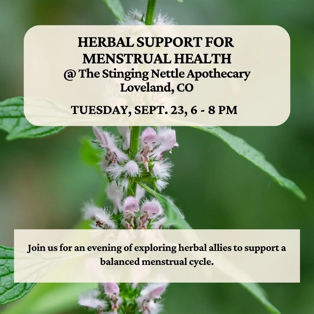 Herbal Support for Menstrual Health