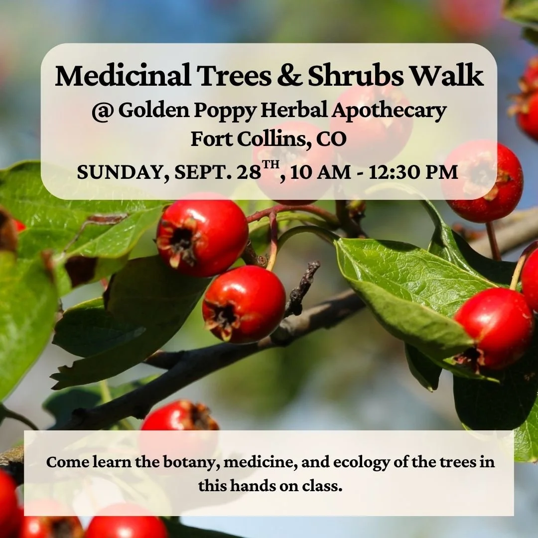 Medicinal Trees and Shrubs Walk