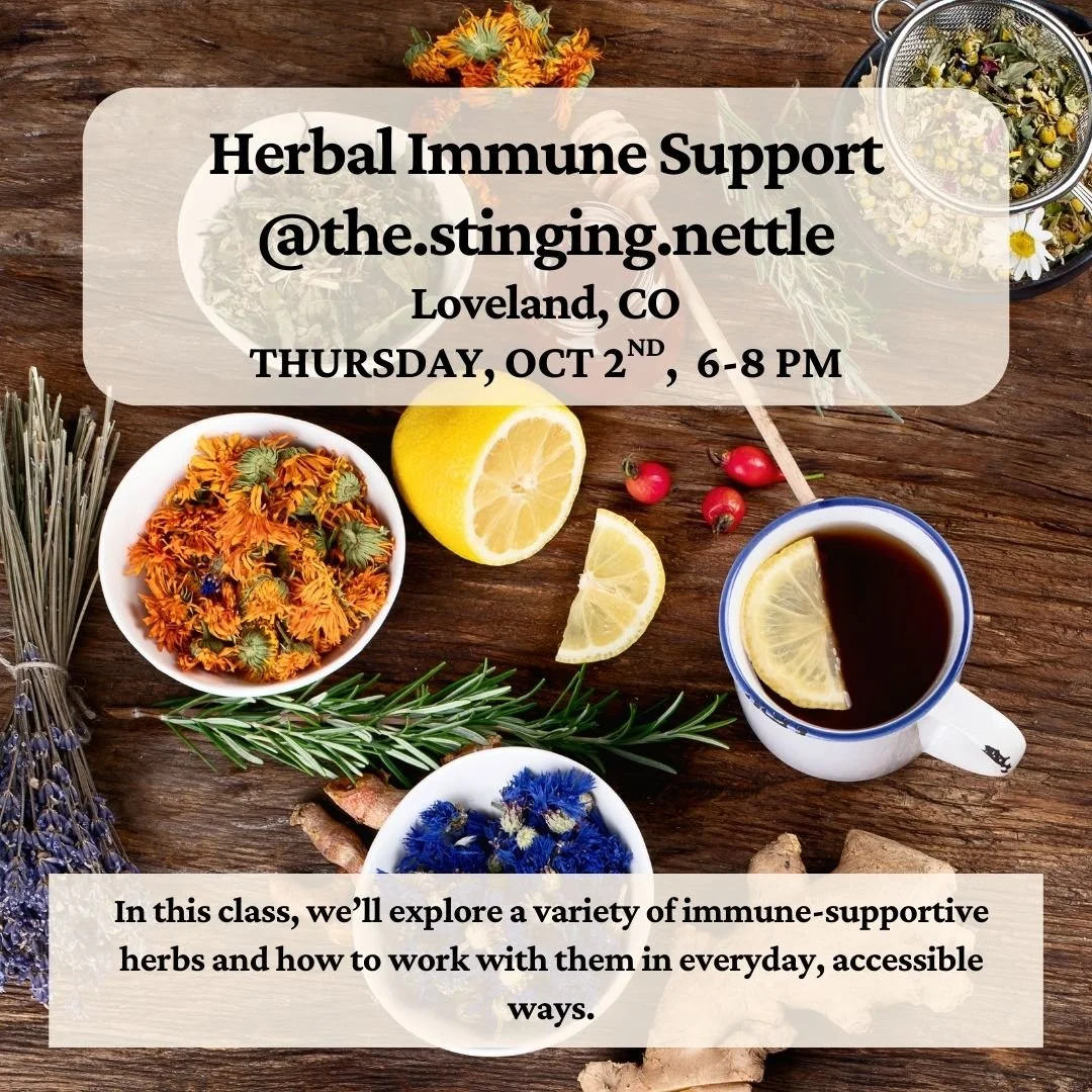 Herbal Immune Support