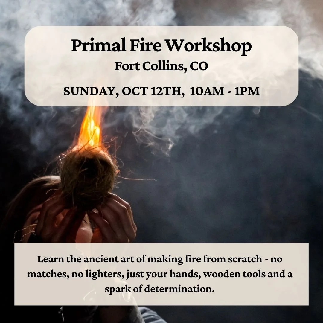 Primal Fire Workshop