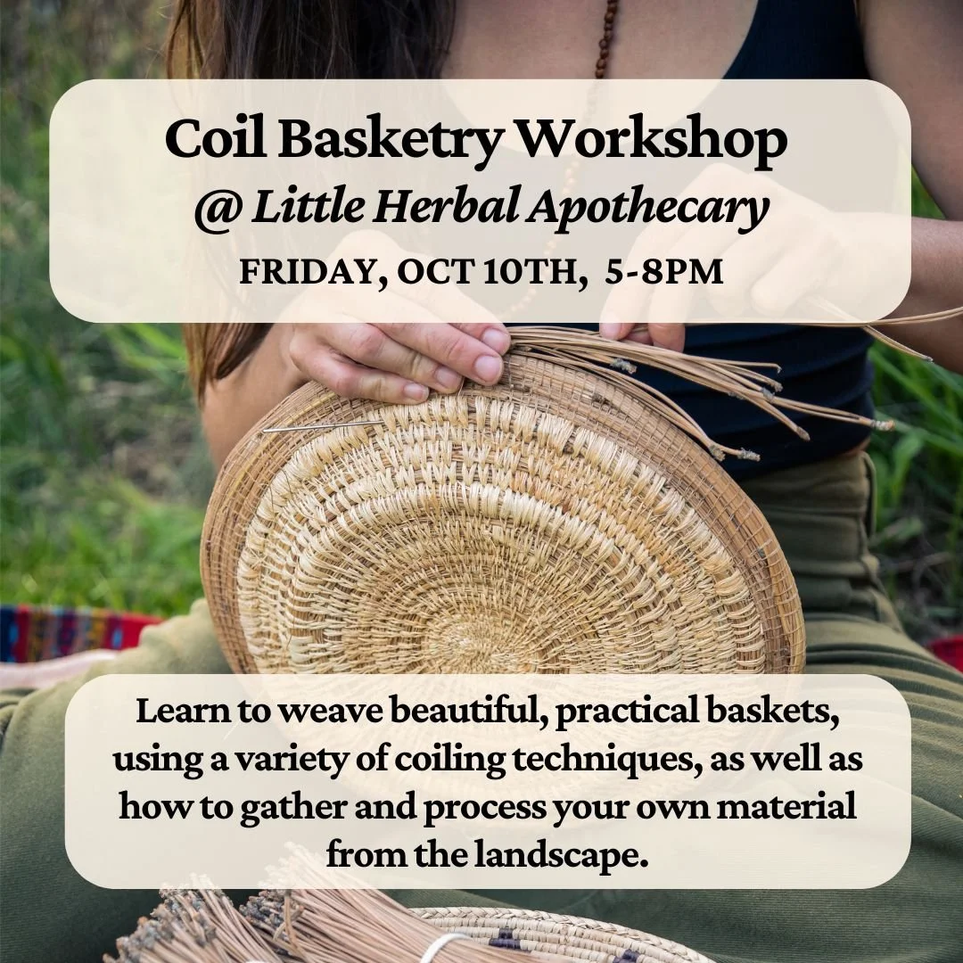 Coil Basketry Workshop
