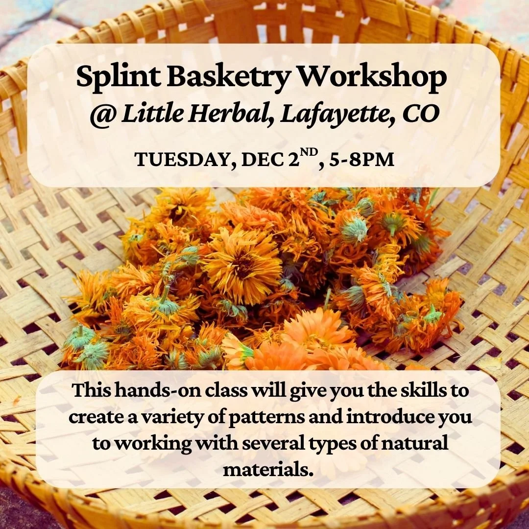 Splint Basketry Workshop