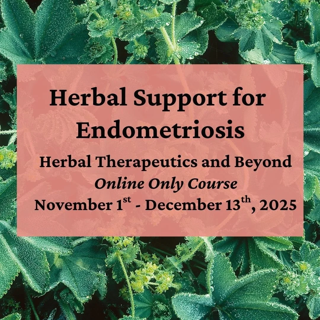 Herbal Support for Endometriosis - Online Class Series (Copy)