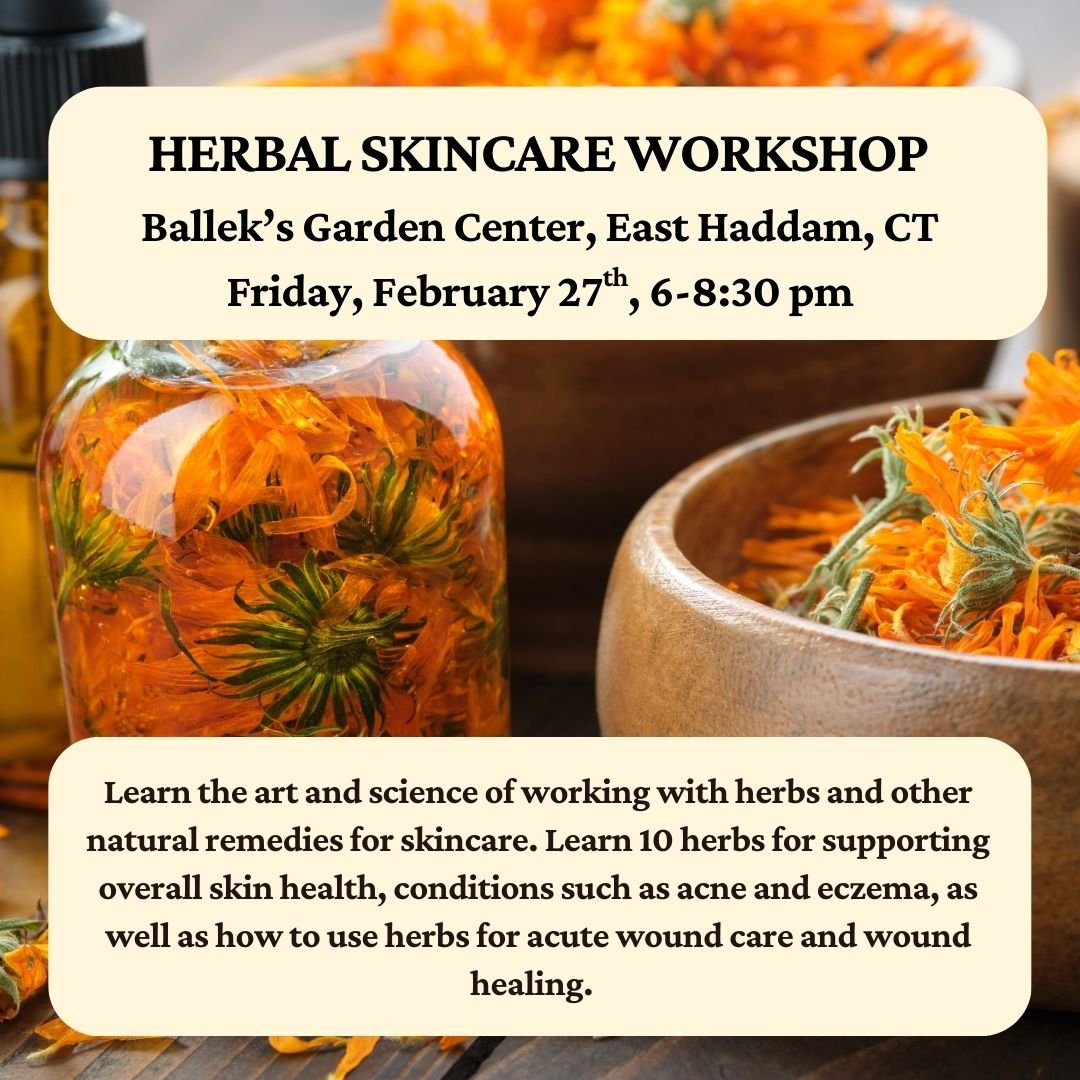 Herbal Skincare Workshop