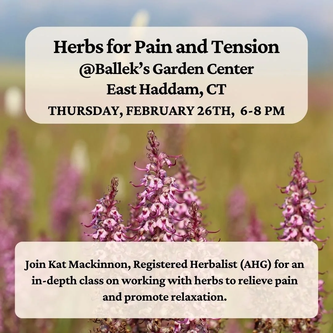 Herbs for Pain and Tension  (Copy)