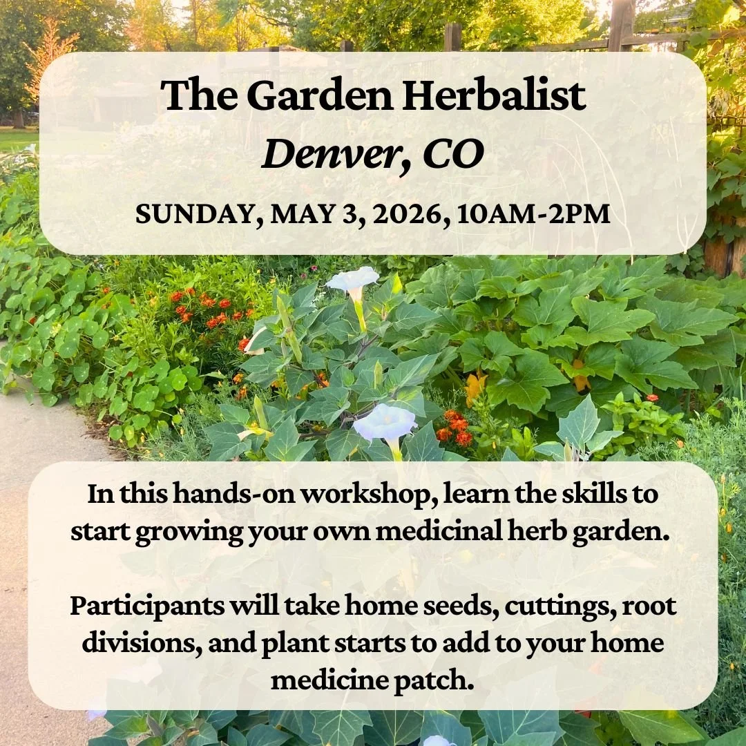 The Garden Herbalist: Intro to Growing Your Own Medicinal Plants