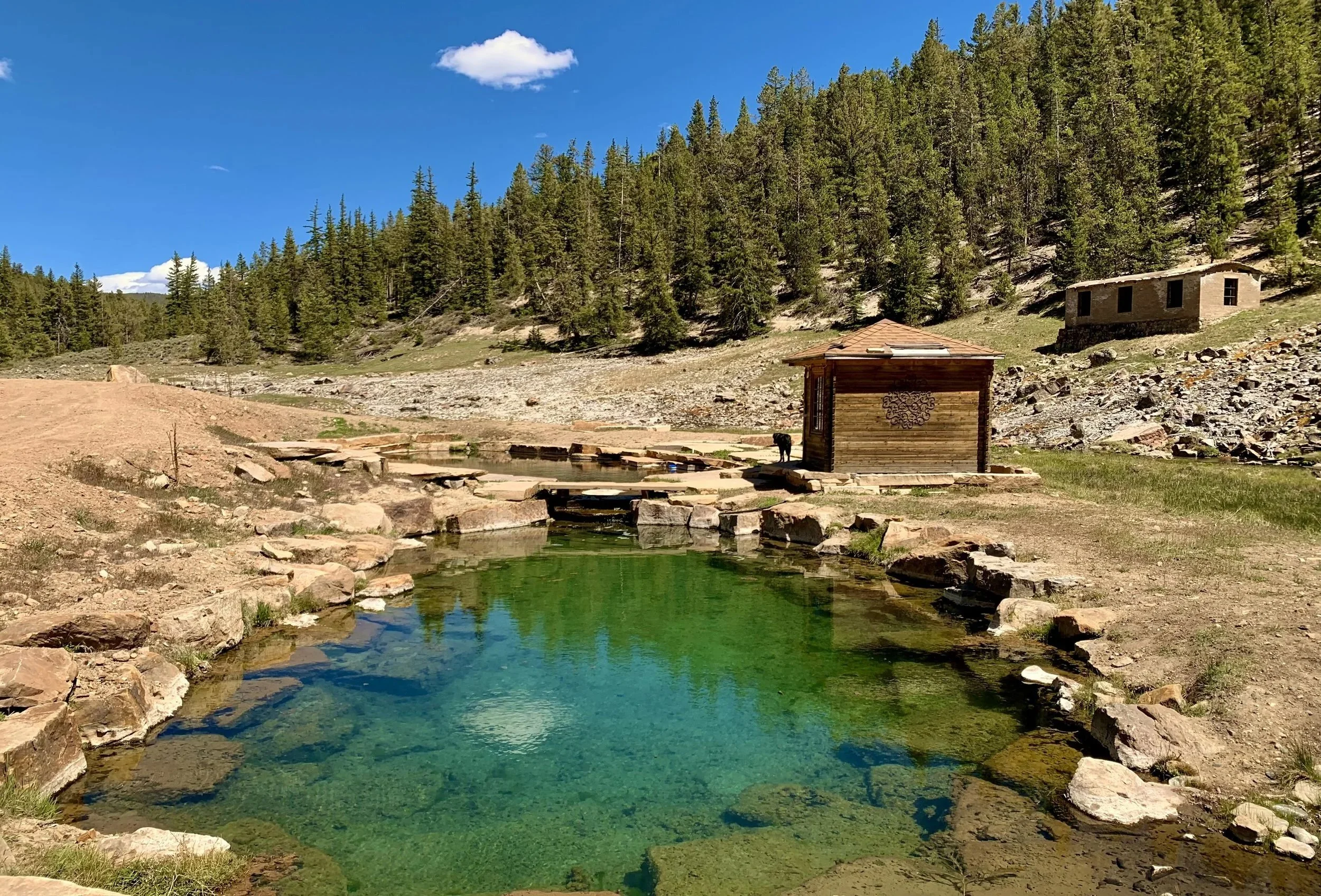 Botany and Herbalism Intensive