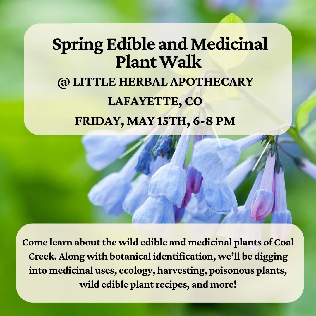 Spring Edible and Medicinal Plant Walk