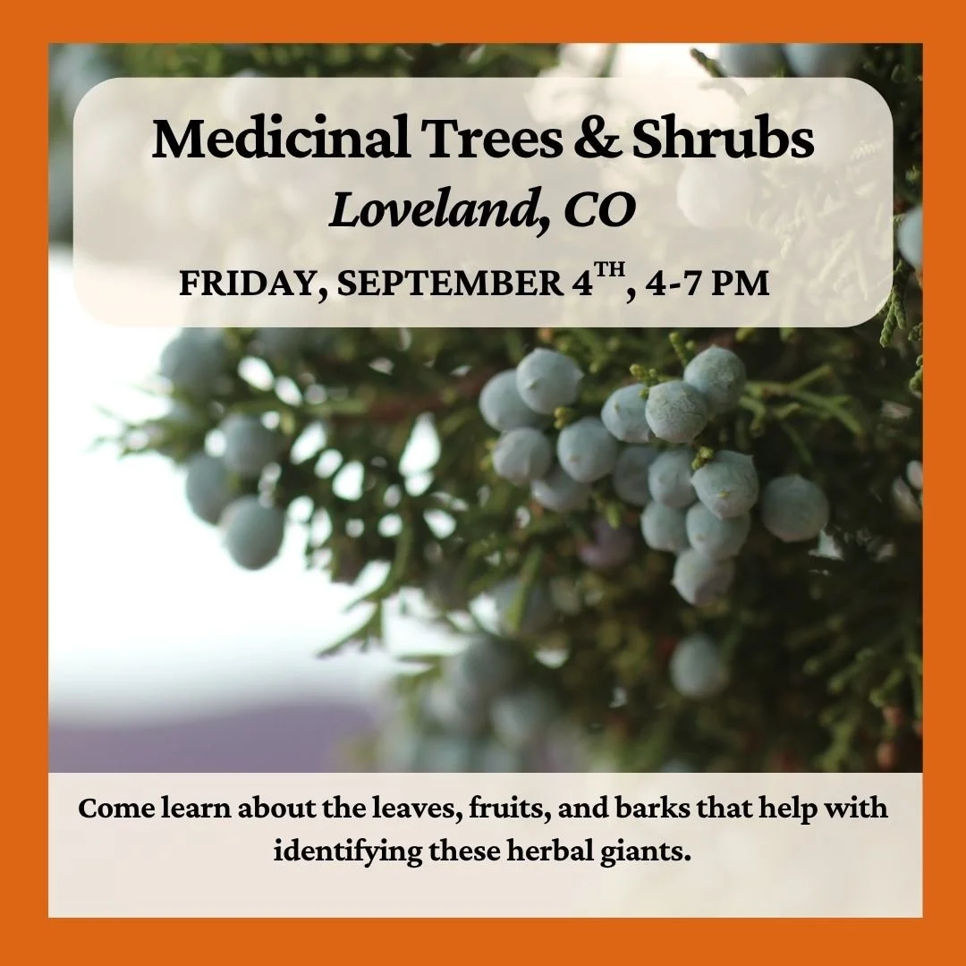 Medicinal Trees and Shrubs Walk