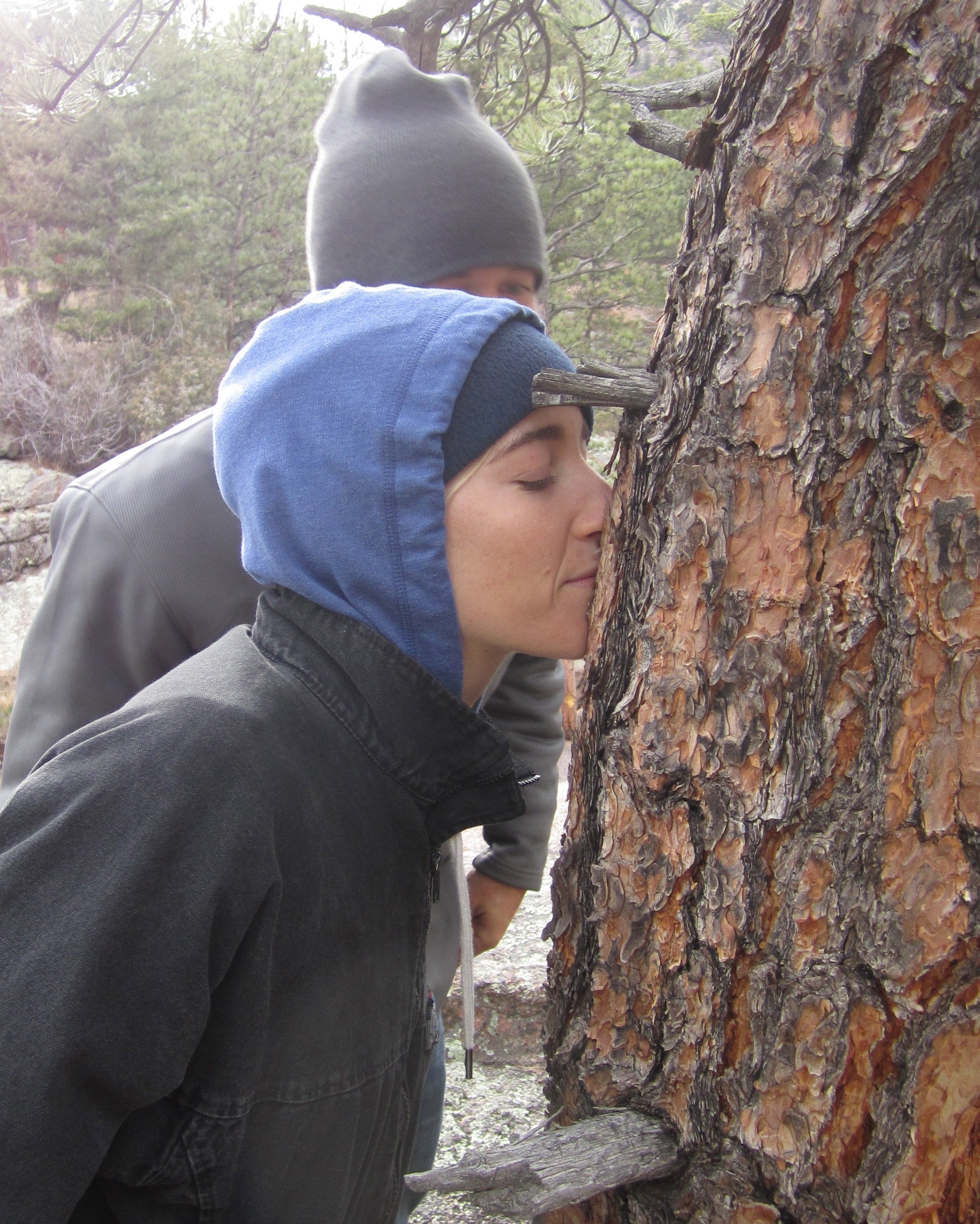Person in hoodie smelling a pine tree outdoors, with another person in the background.