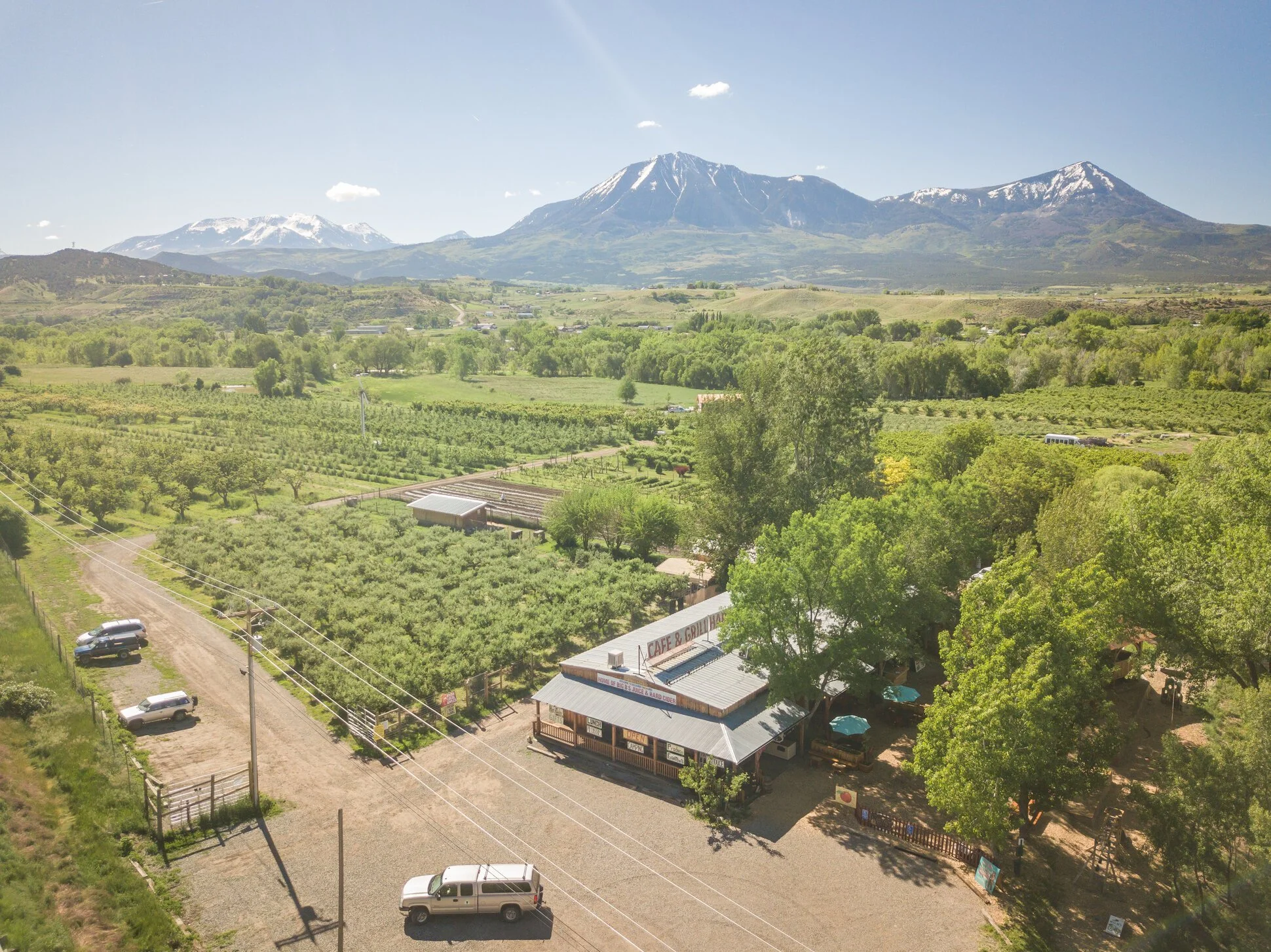 Forest to Field Festival — MEET THE GREEN