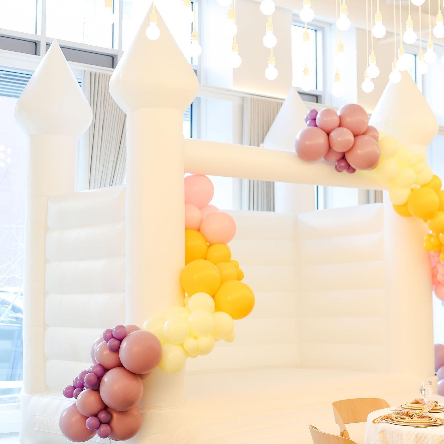 What should we name this pretty princess? Get your creative juices flowing and drop your suggestions in the comment, we&rsquo;ll take a poll of the top ones and decide a winner! 💁🏼&zwj;♀️🎉🍾 Pearl? Snow White? Clearly I need help 😂

#whitebounceh