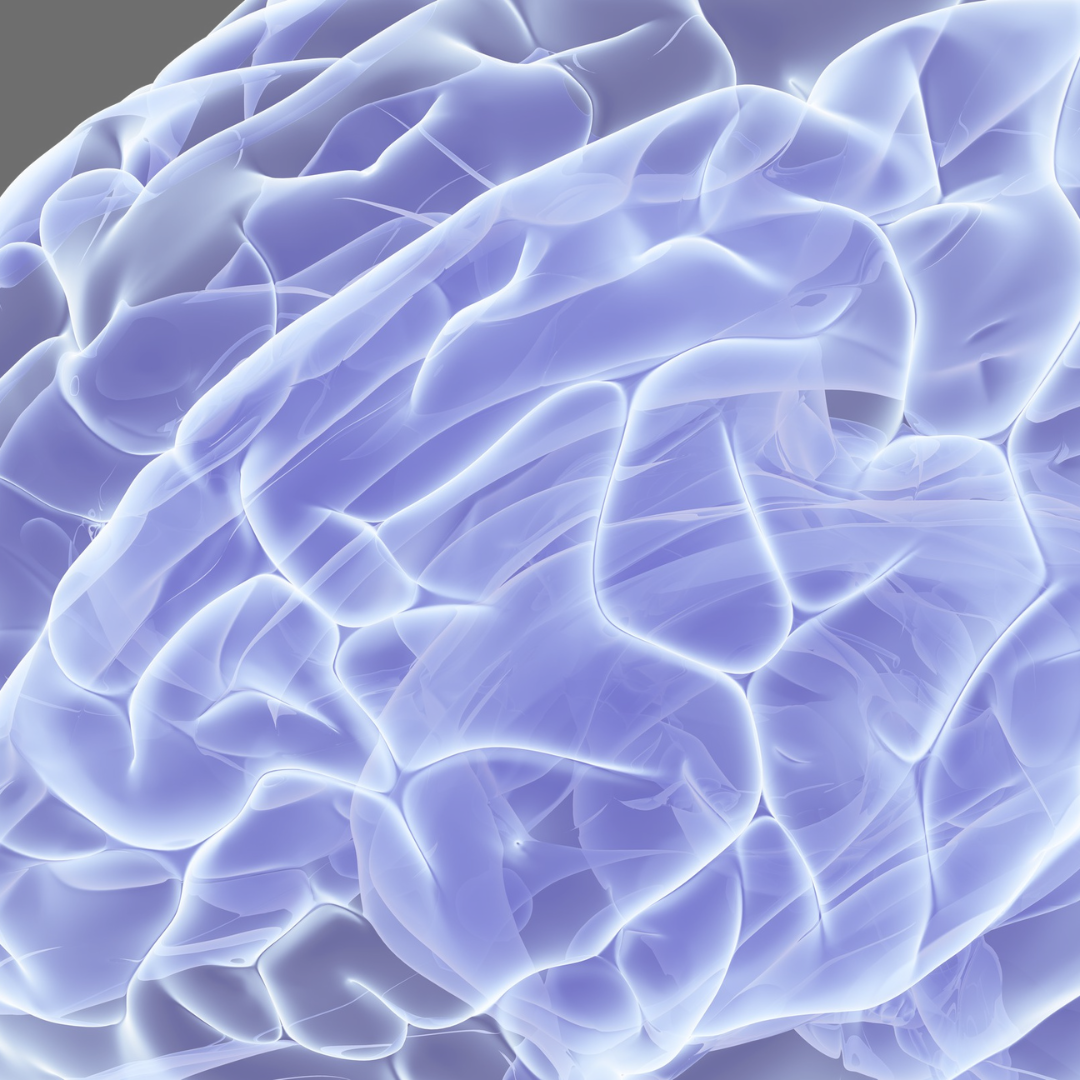 Connections between the lymphatic and central nervous system and its implications.