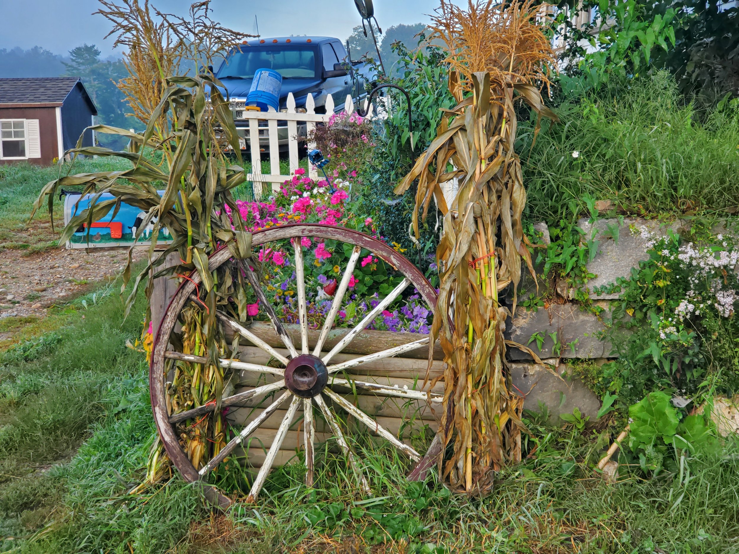20210917_070829.jpg