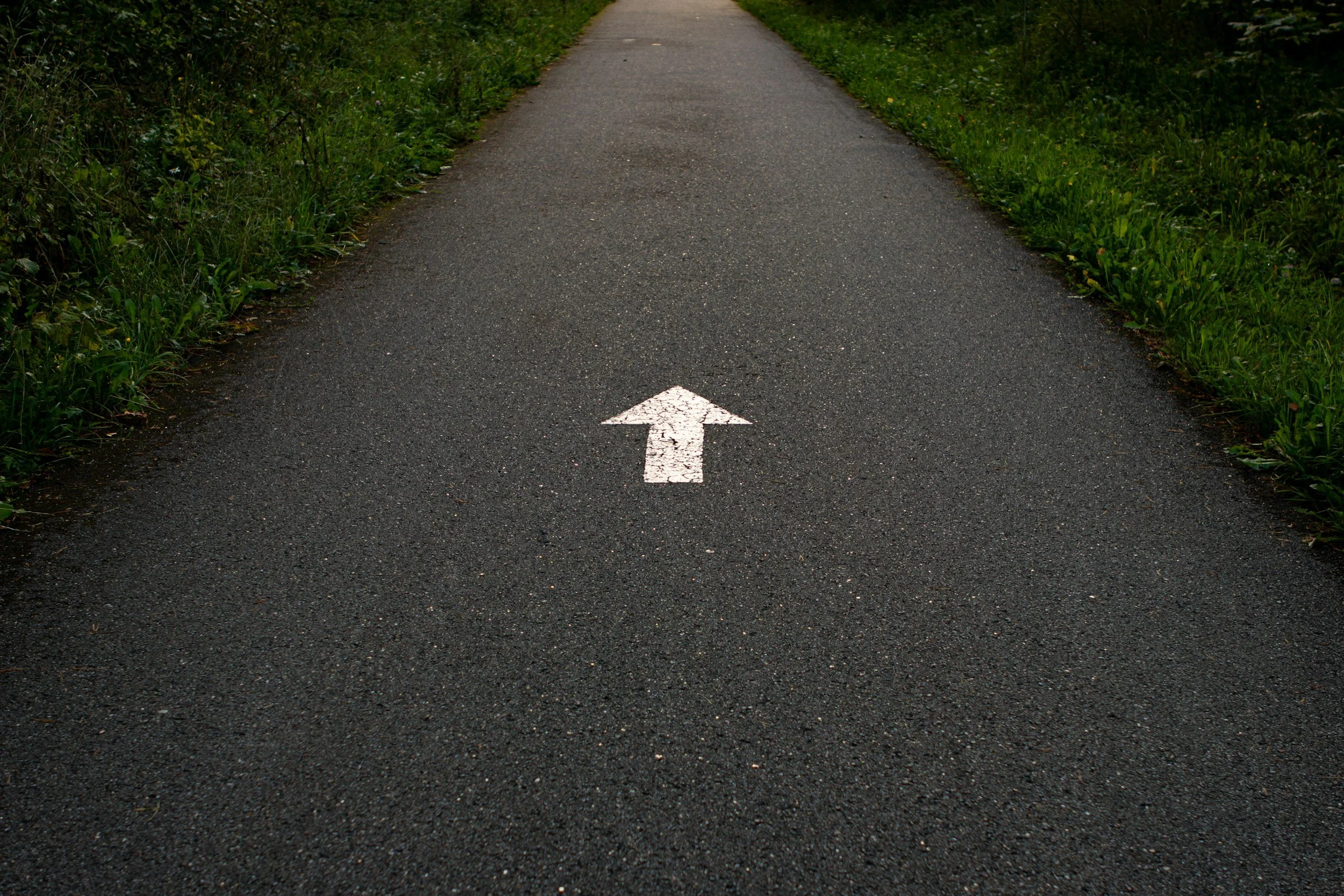A paved road with a white arrow pointing straight ahead, surrounded by green grass and bushes.