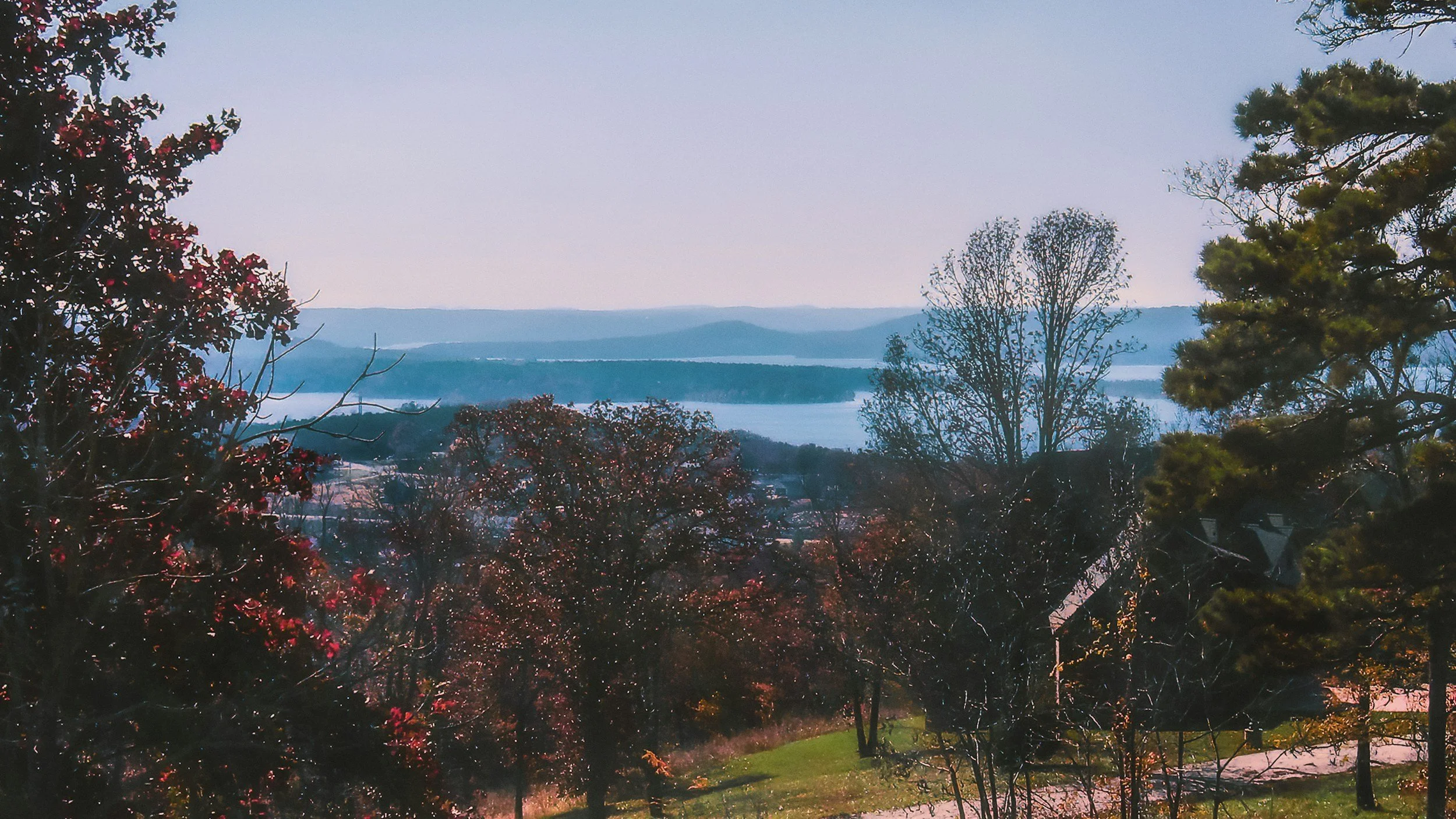 A scenic view of a landscape with trees in the foreground and a body of water with hills in the background, under a clear sky.