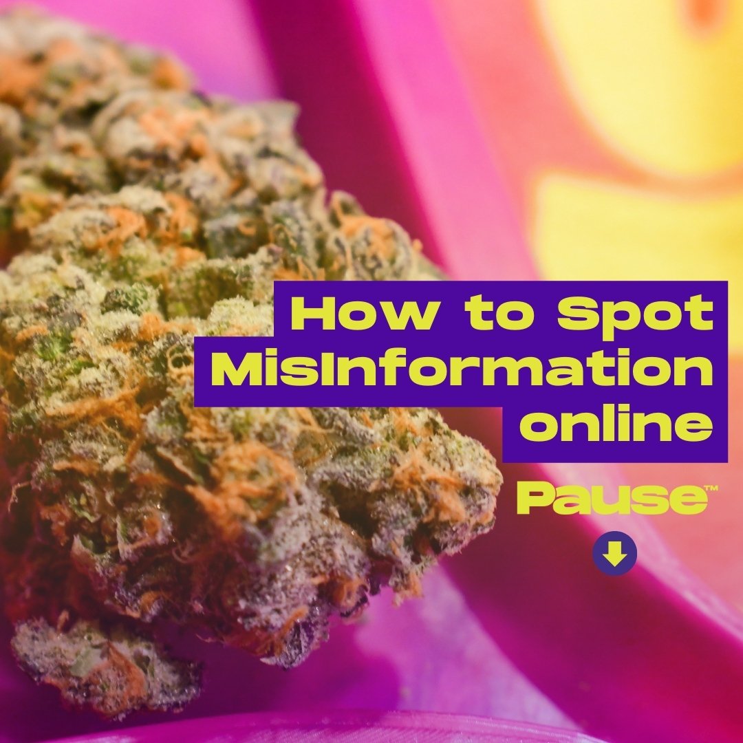 April Fools' Day may be all about the pranks, but misinformation about c*nn*bis is NO JOKE! Here's why 👇🏽

Navigating misinformation online can be challenging, but with the right approach, you can spot accurate information and make informed decisio