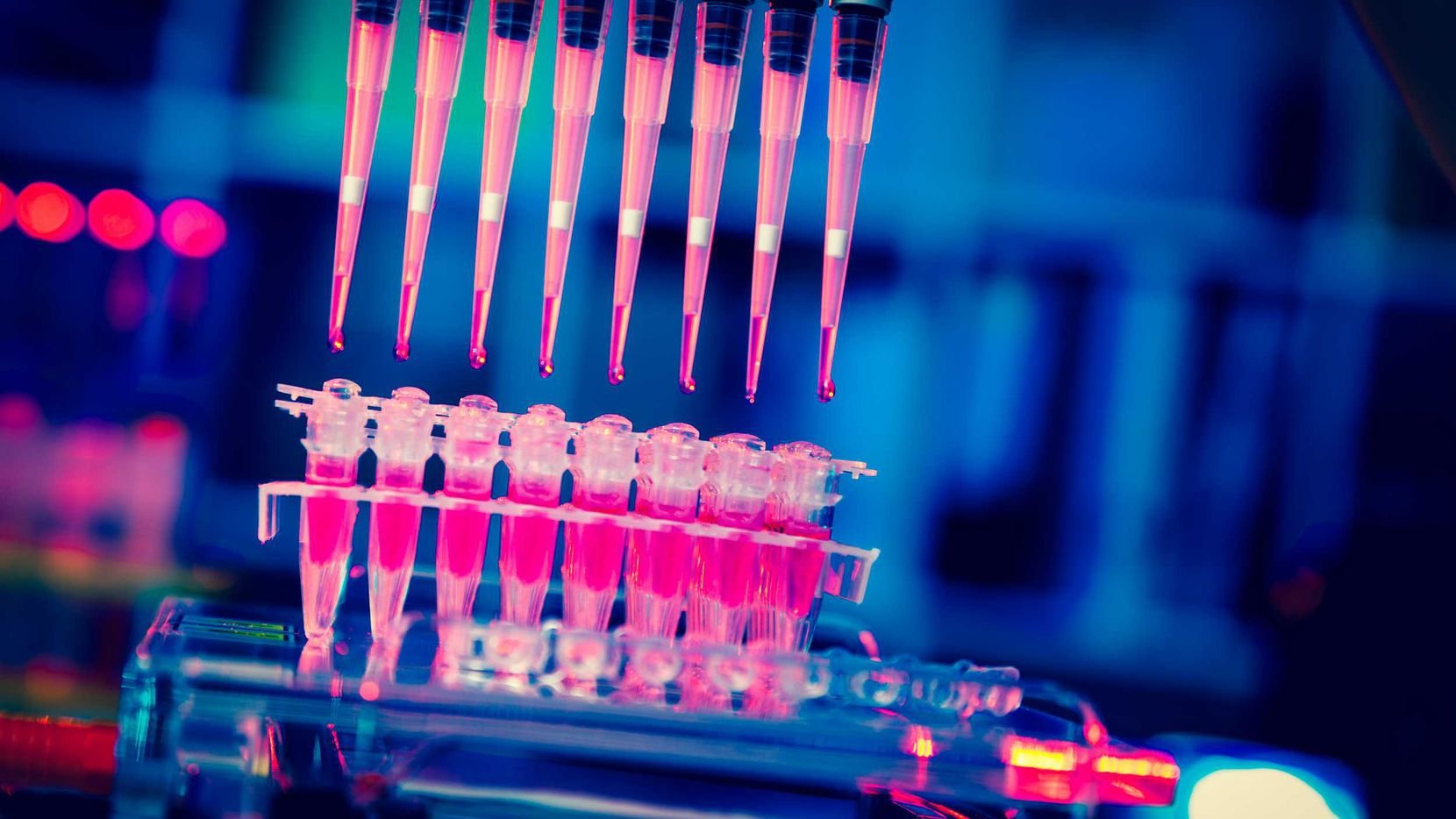 Dallas biotech Lantern Pharma looks to IPO to fund cancer drug development