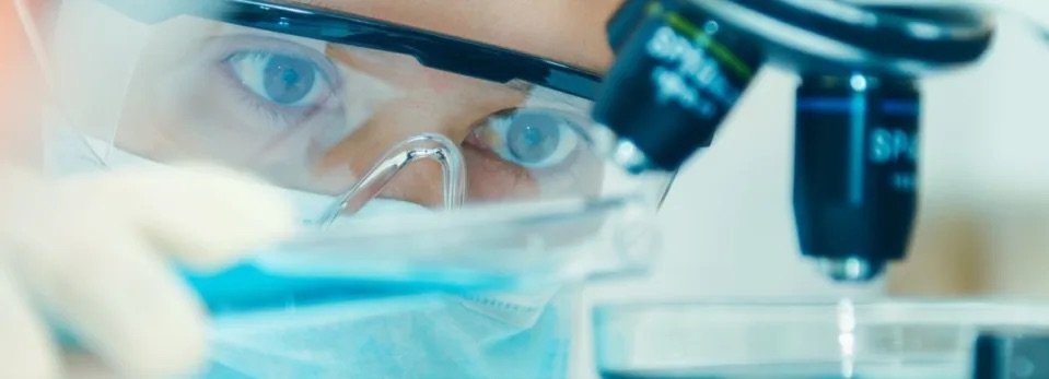 Lantern Pharma Inc. (NASDAQ:LTRN) Insiders Increased Their Holdings