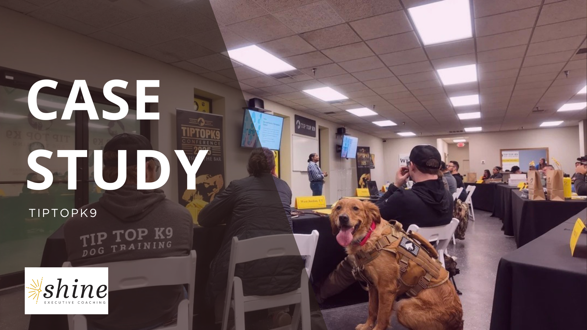 Case Study: From Coaching to Advisory - Building the Leadership Cadence Behind Franchise Growth at Tip Top K9