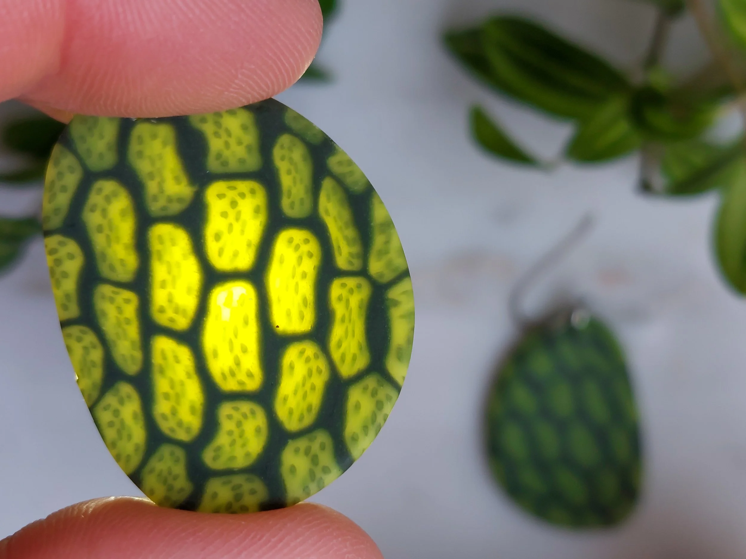 Translucent Plant Cells of a Leaf Earrings