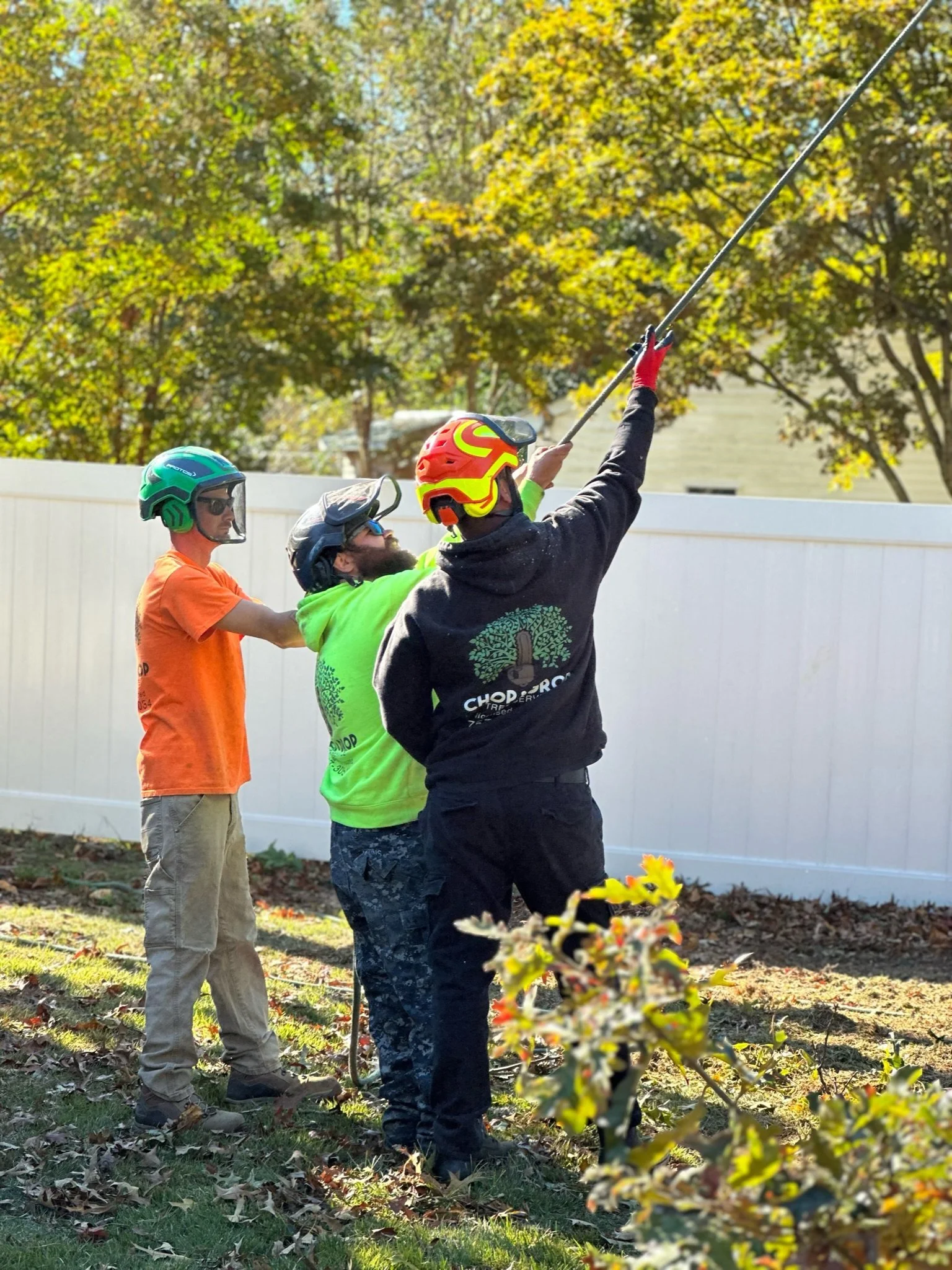 Chop & Drop Tree Rigging For Removal Virginia Beach