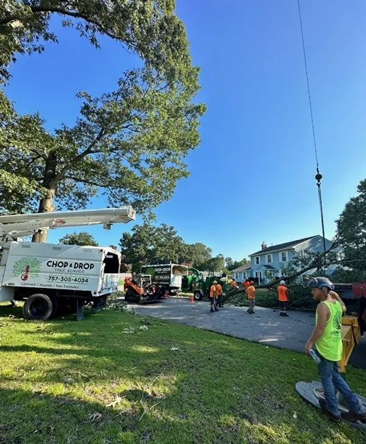 Workers in orange safety vests and a woman in a green vest working on a street repair or construction project in a residential neighborhood, with a tree, a house, and utility lines visible.