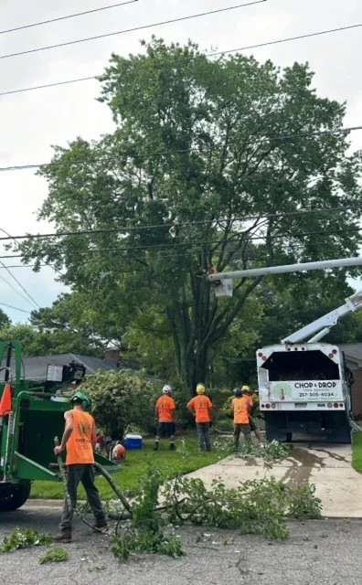 Chop & Drop Tree Service workers performing Tree Trimming in Virginia Beach, VA using a bucket truck and a wood chipper.