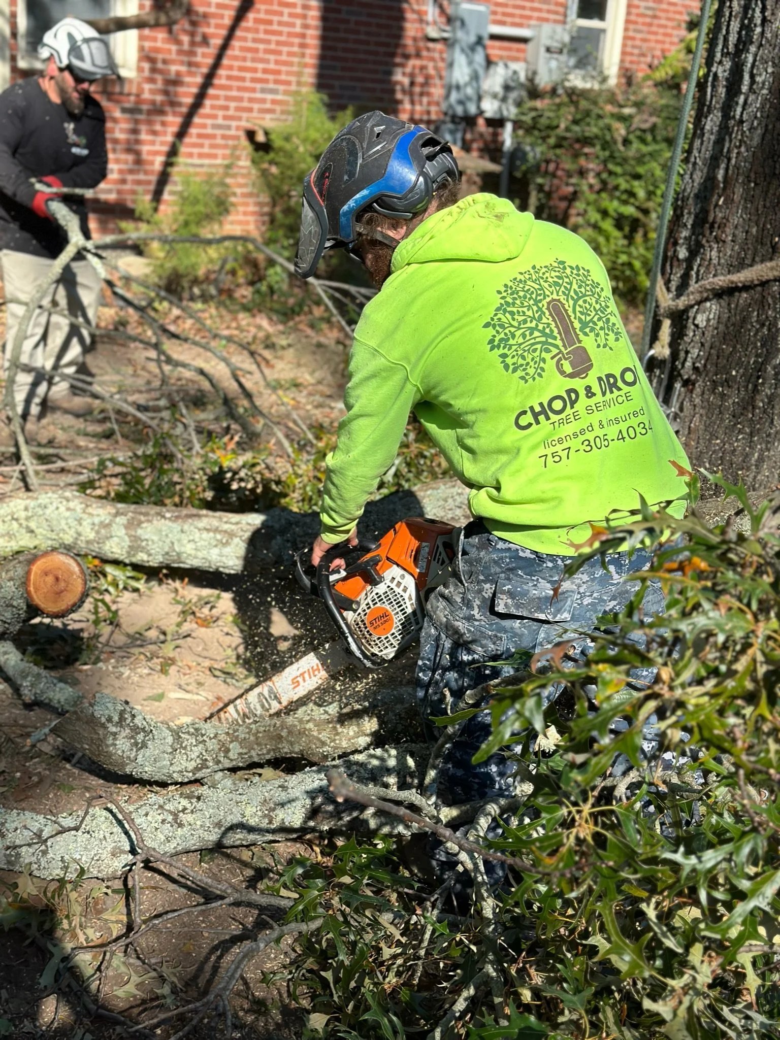 Chop & Drop Tree Removal with Chainsaw Virginia Beach