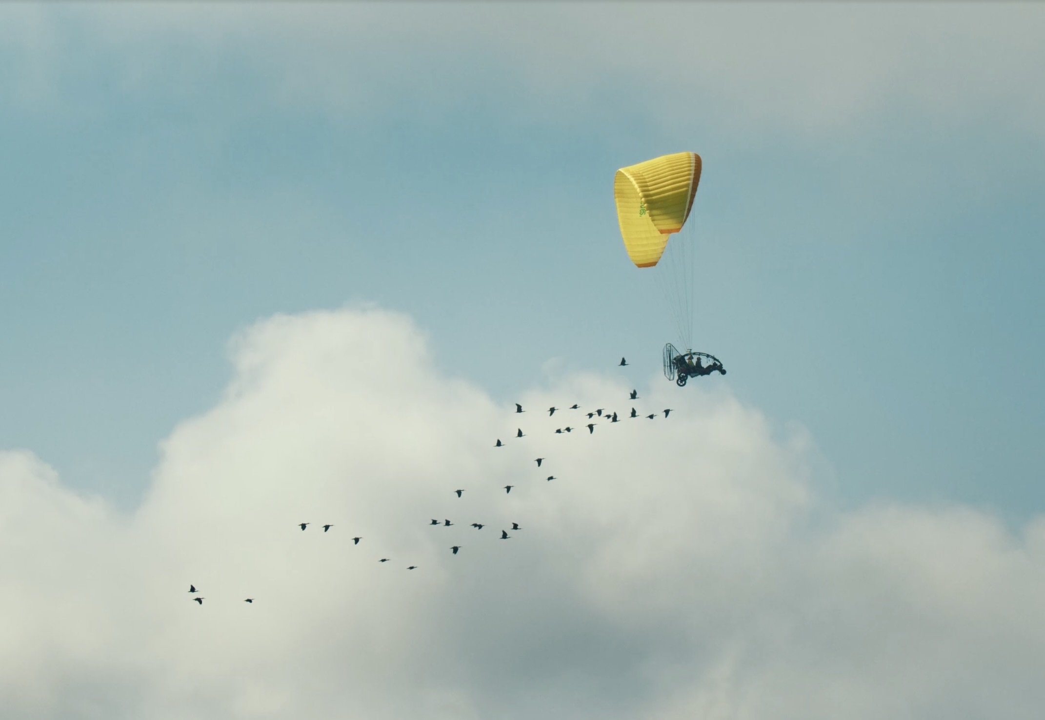 Behind the Scenes of “Flying High”: A Conversation with Producer Stephen Ives