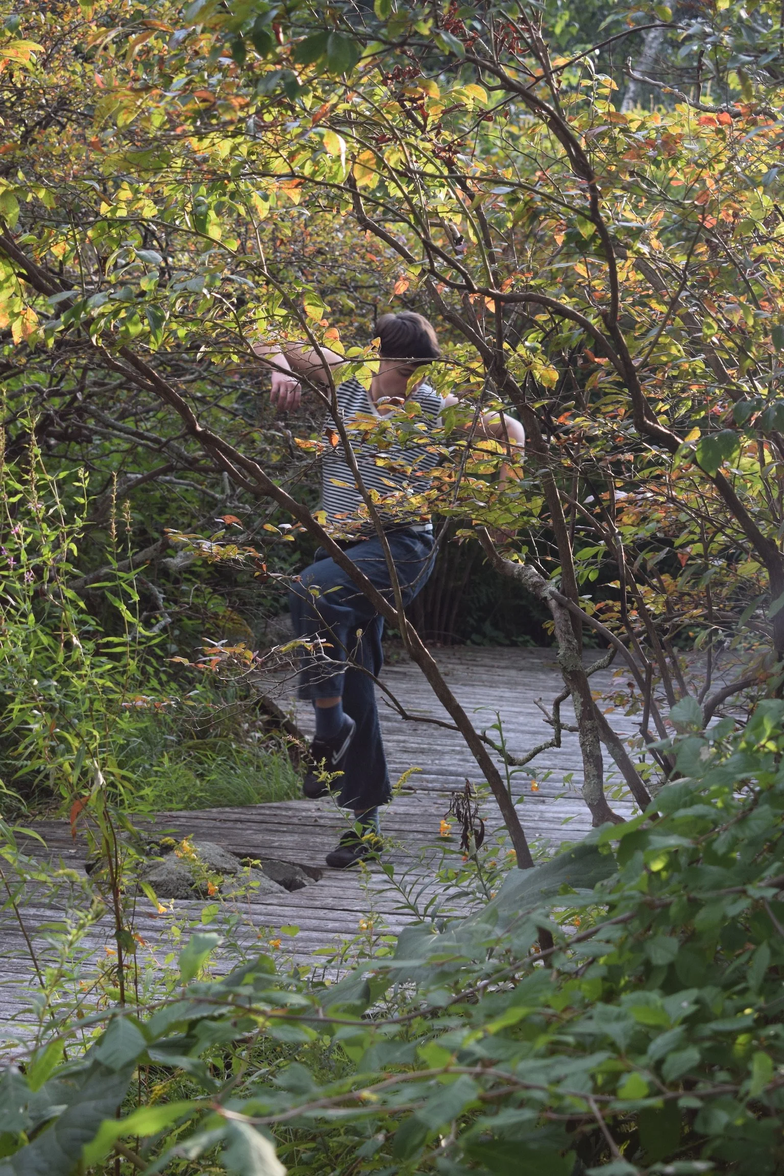 Gardance: A Site-Specific Contemporary Dance Performance