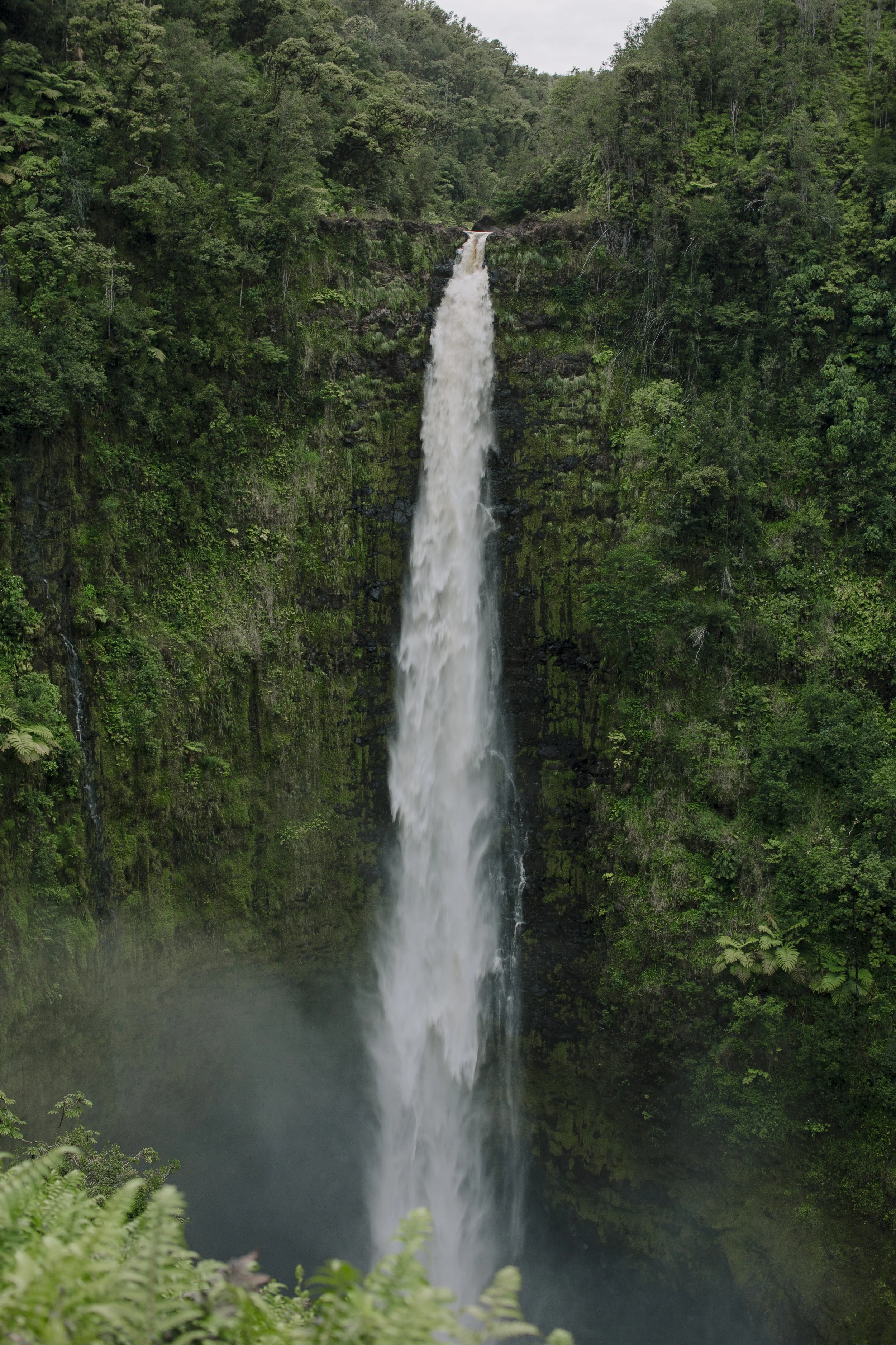 Hawaii_19.jpg