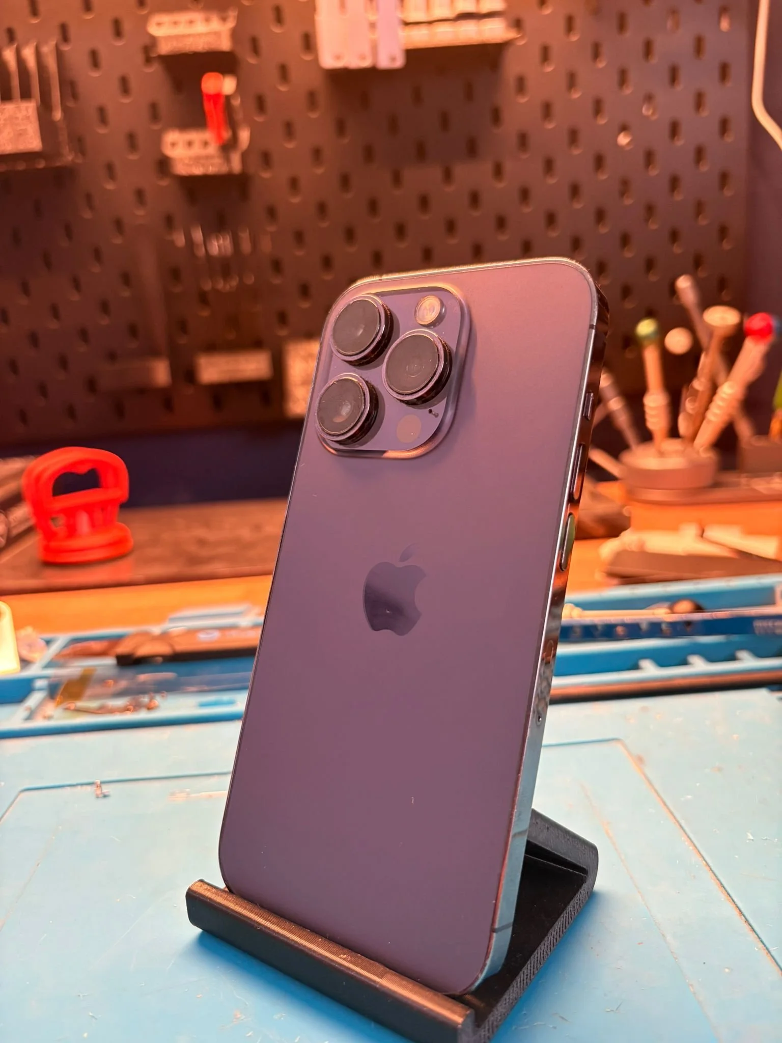 WhatsApp Image 2026-02-11 at 2.48.30 PM.jpeg