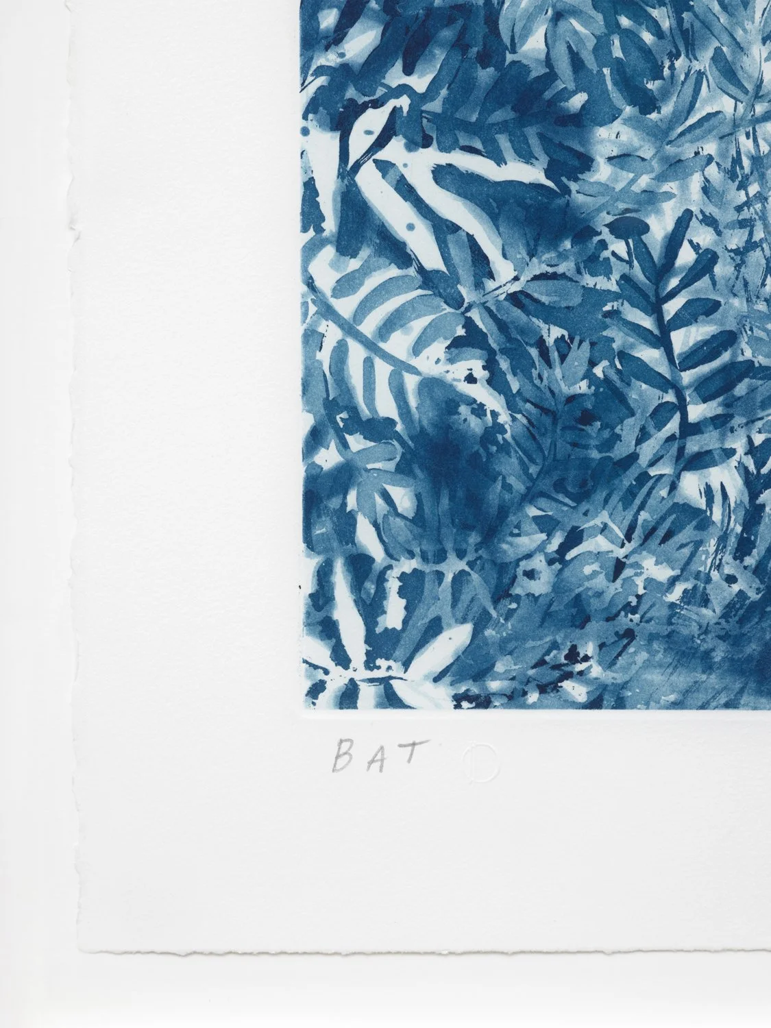 MB_Ollin_blue_2 - Web.jpg
