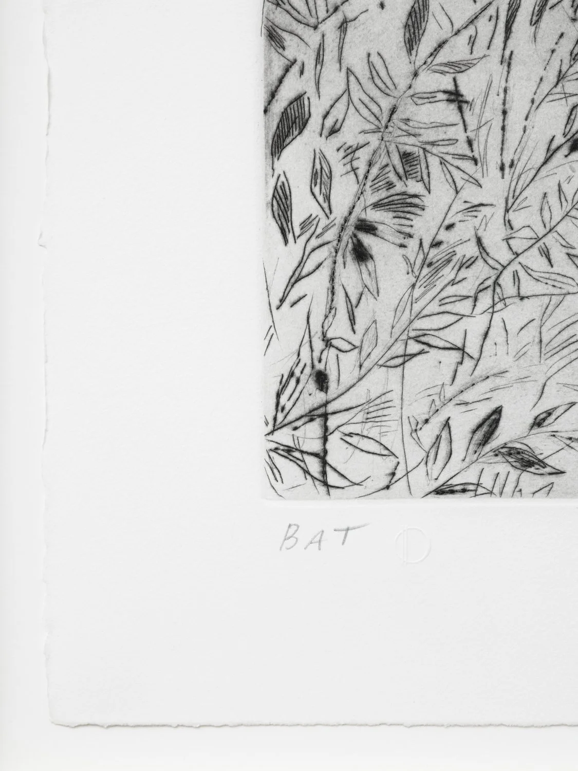 MB_Ollin_black_2 - Web.jpg